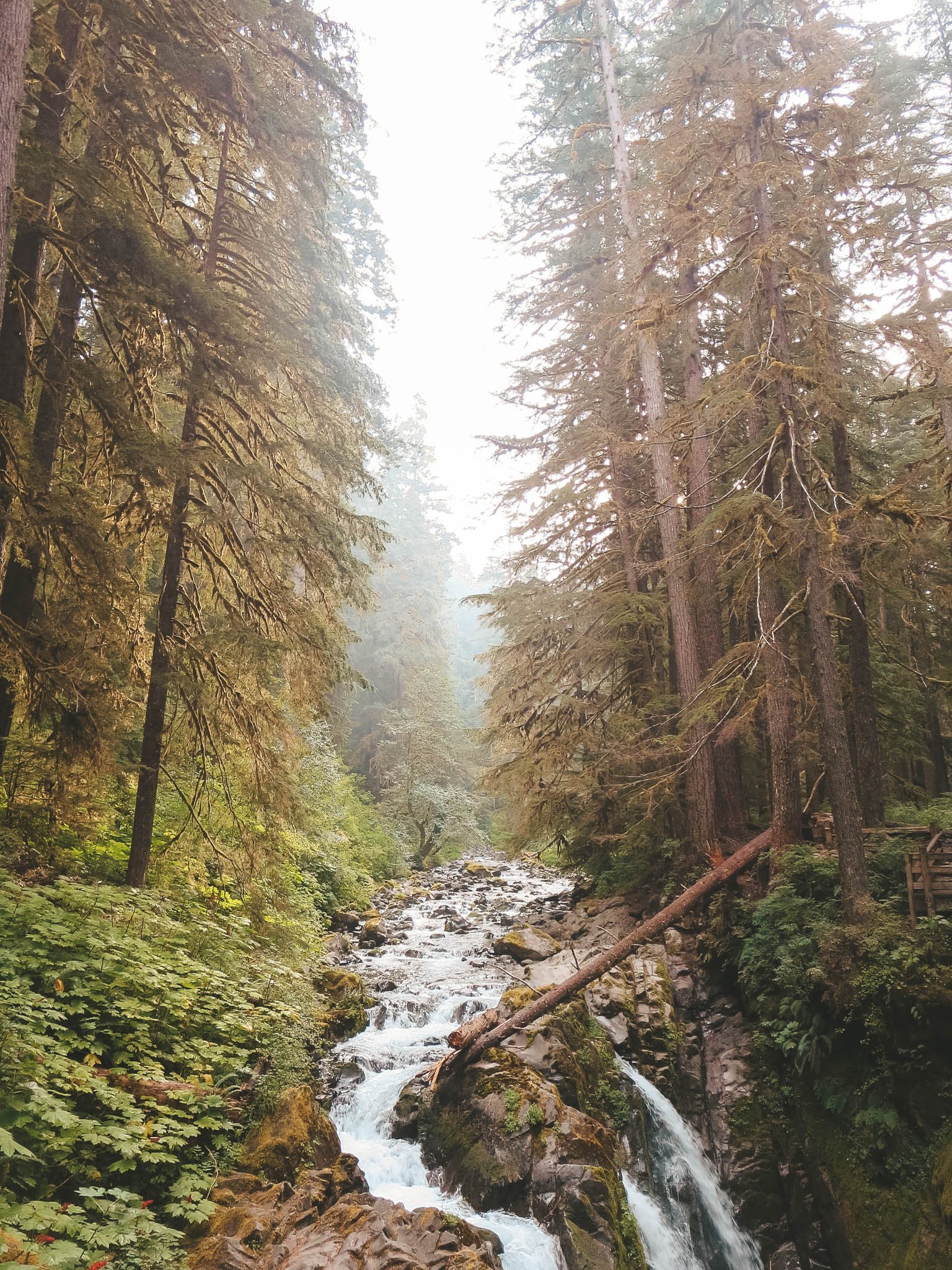 jana meerman olympic national park-1