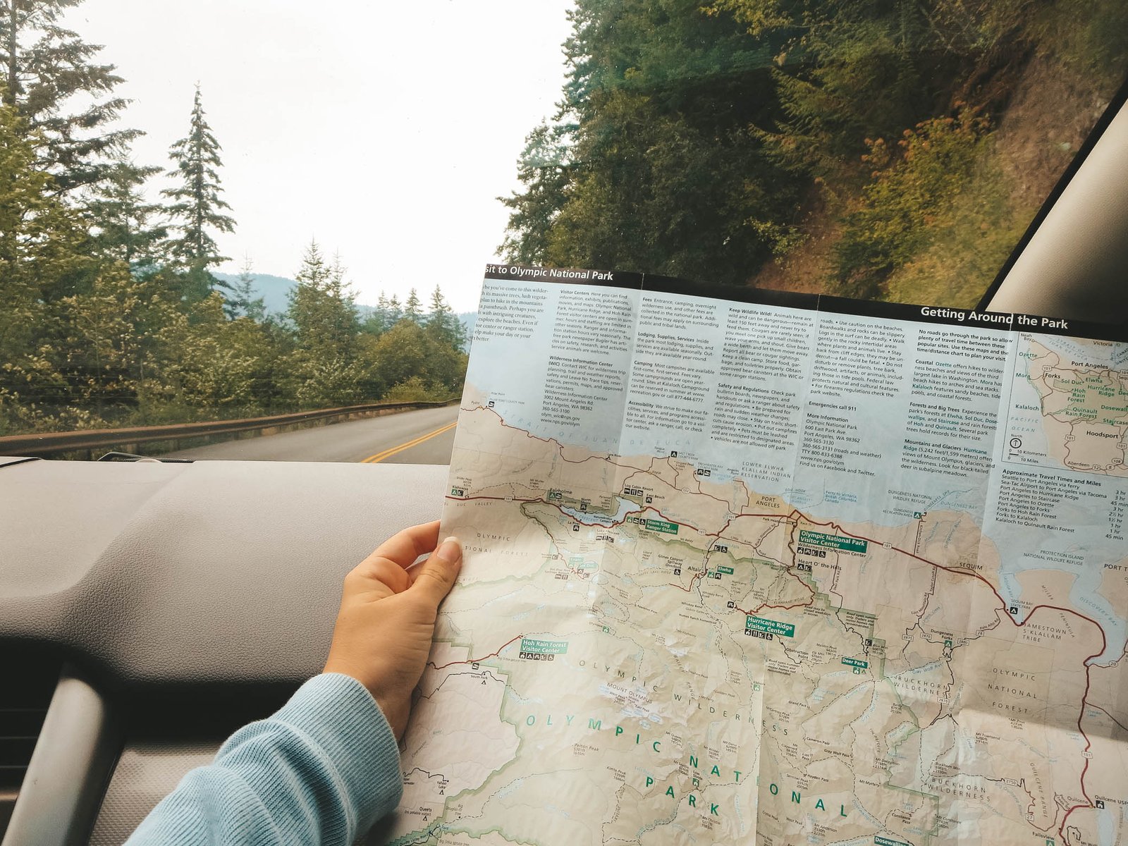 A Guide to Olympic National Park, Washington | Jana Meerman