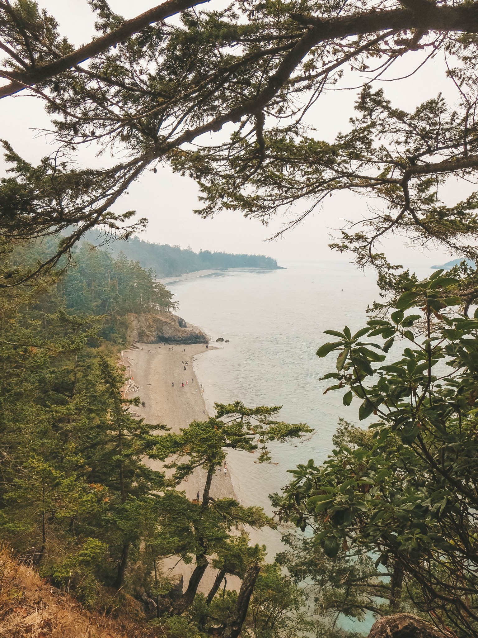 jana meerman olympic national park-1