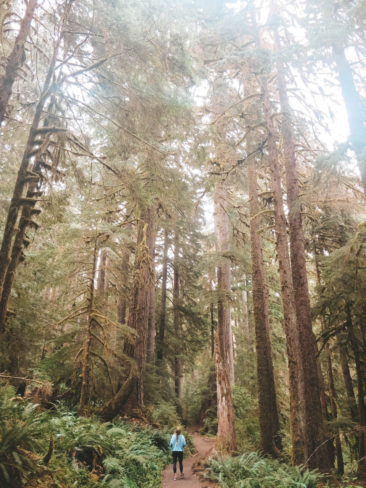 jana meerman olympic national park-1