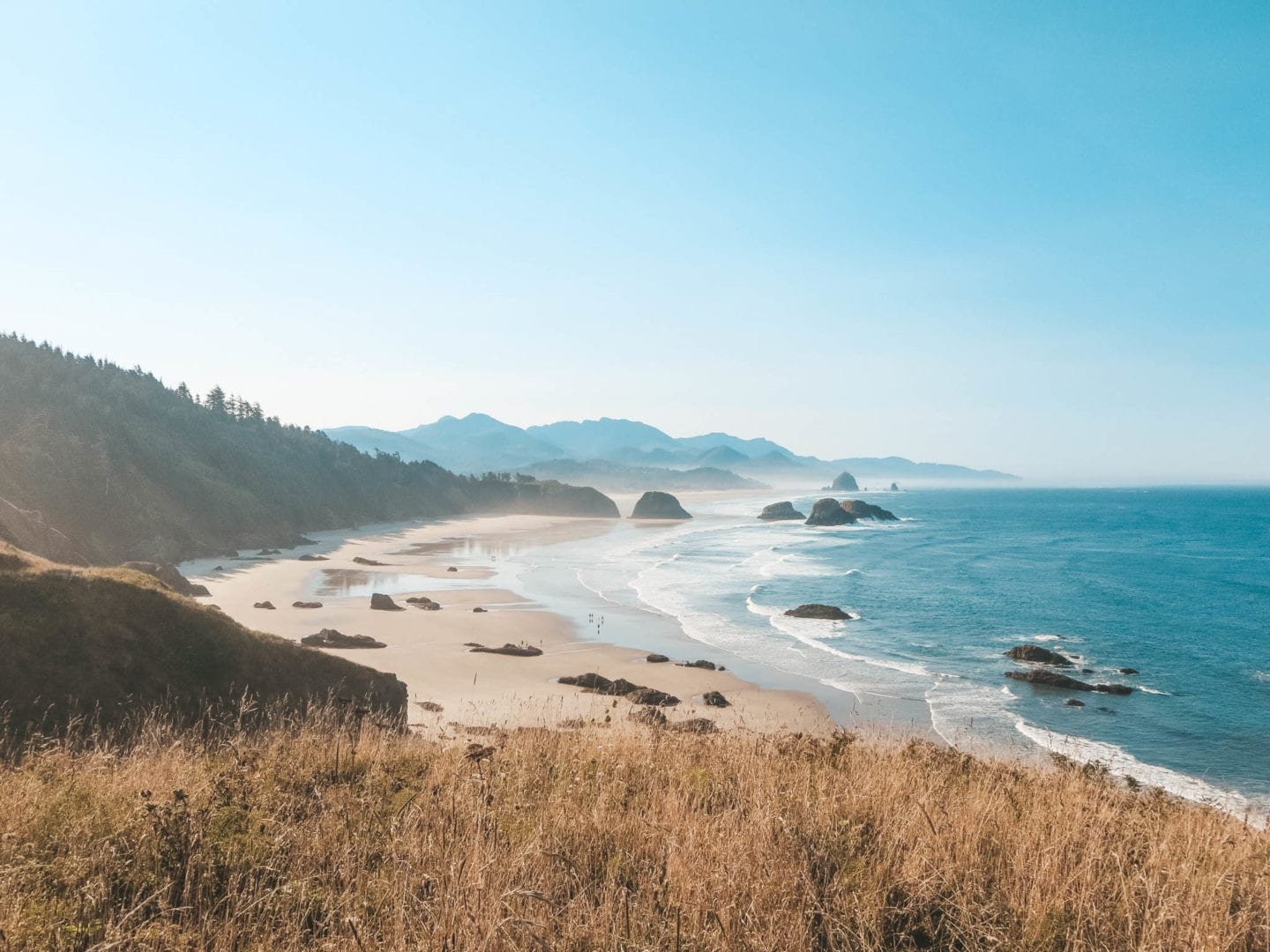 Must-See Stops on an Oregon Coast Roadtrip | Jana Meerman