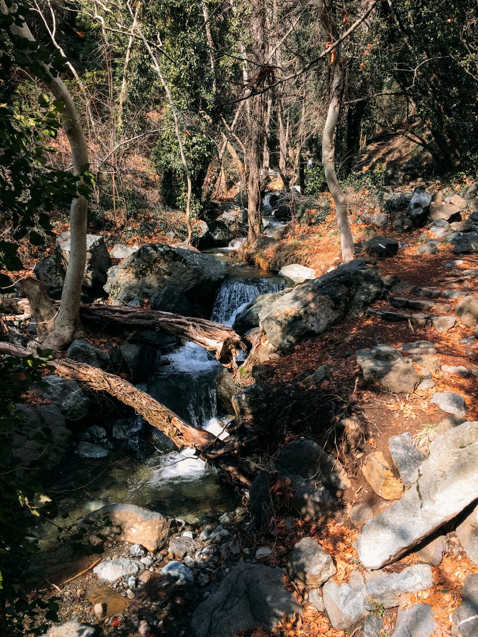 jana meerman caledonia waterfall cyprus (1)