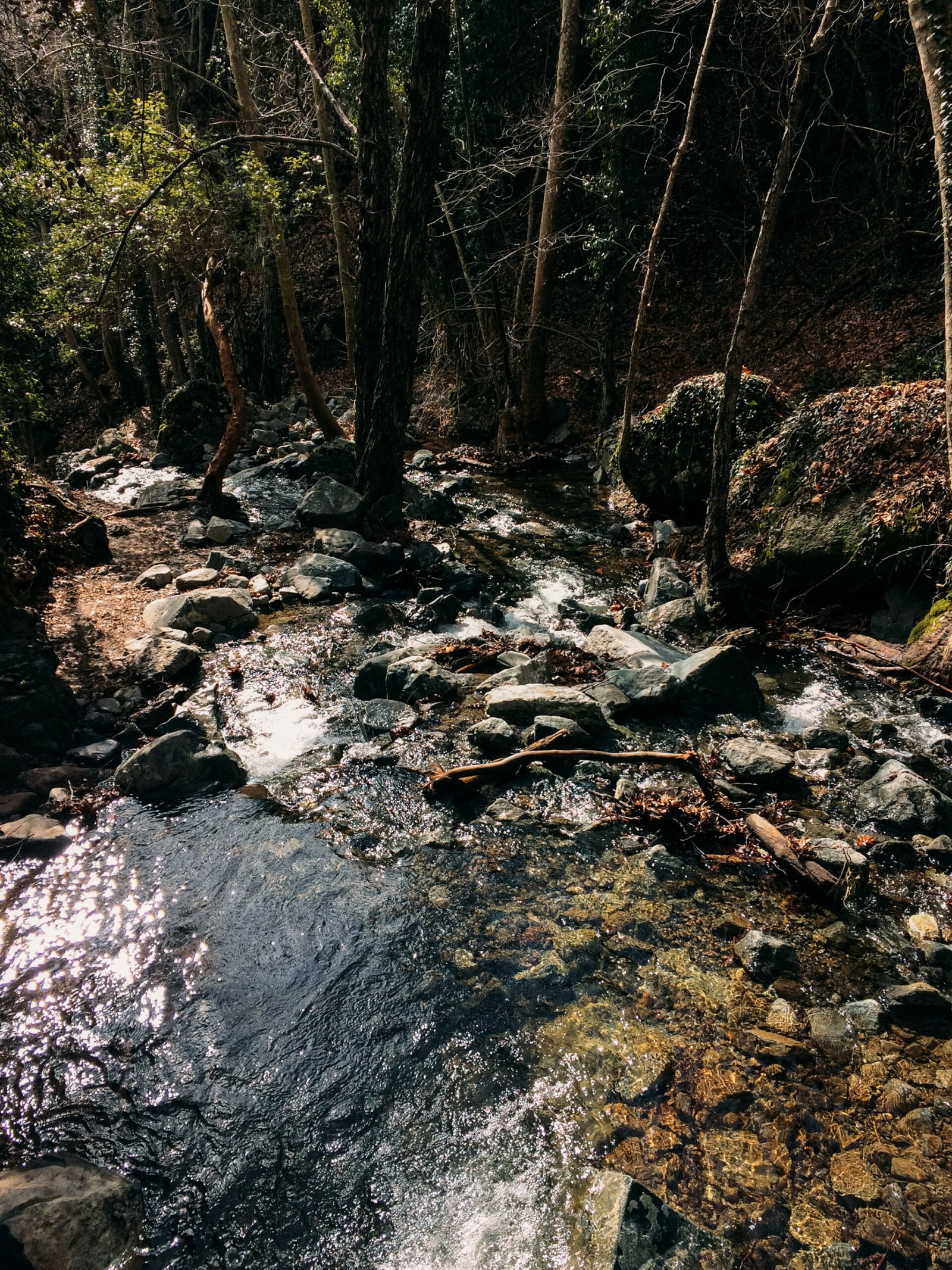 jana meerman caledonia waterfall cyprus (1)