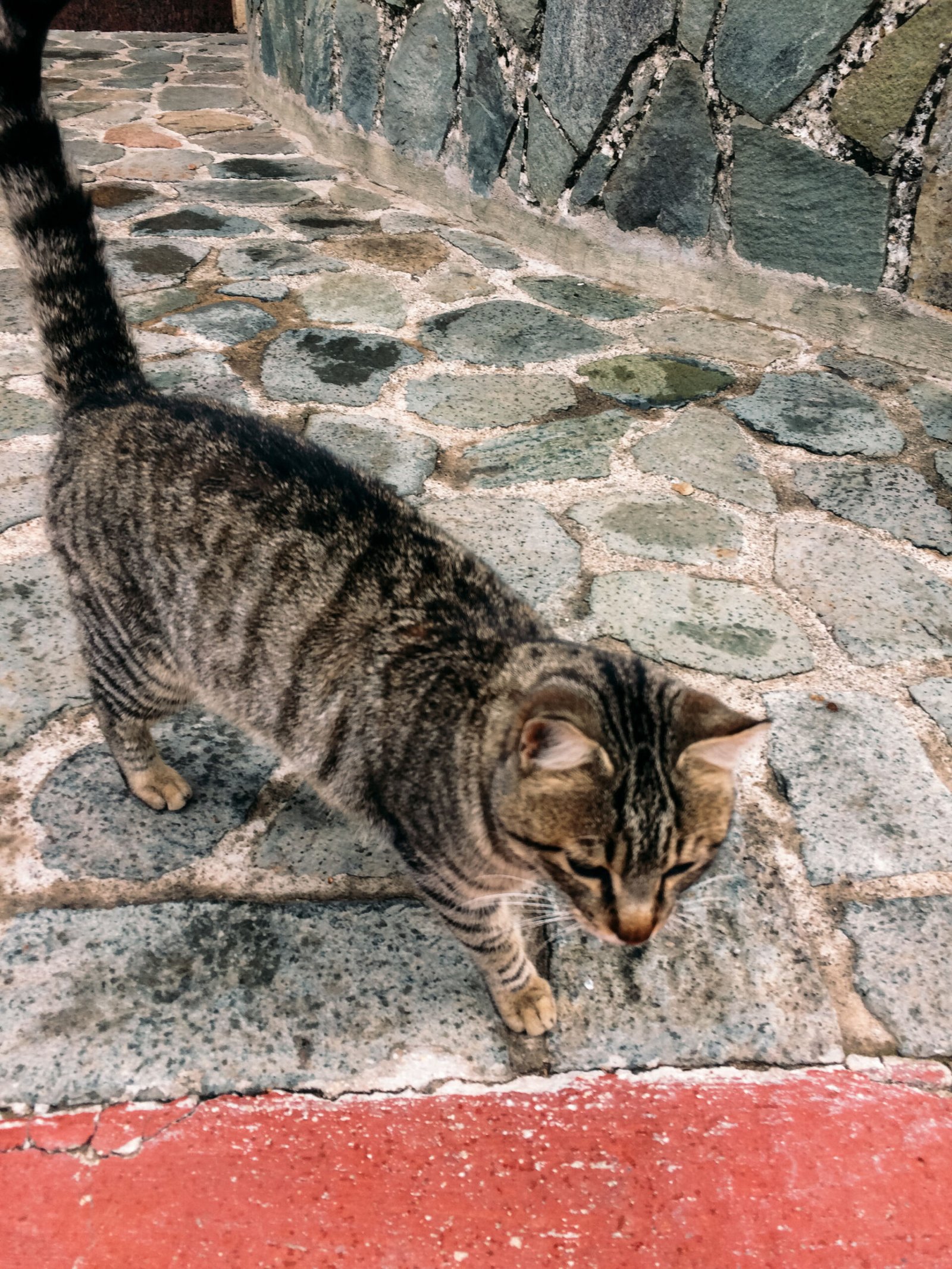 jana meerman kykkos monastery cyprus (4)