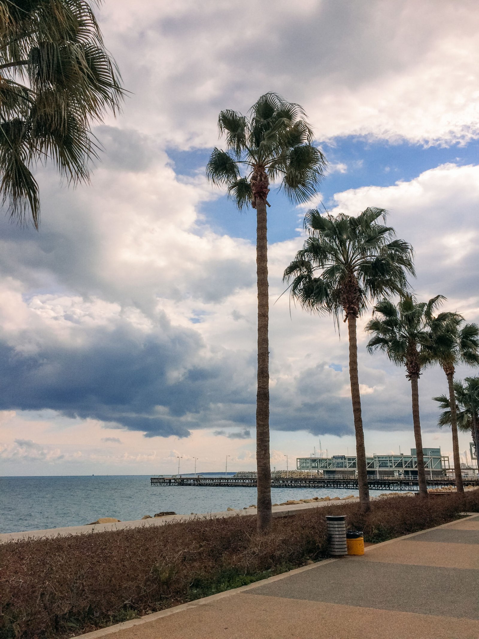 jana meerman limassol cyprus (1)