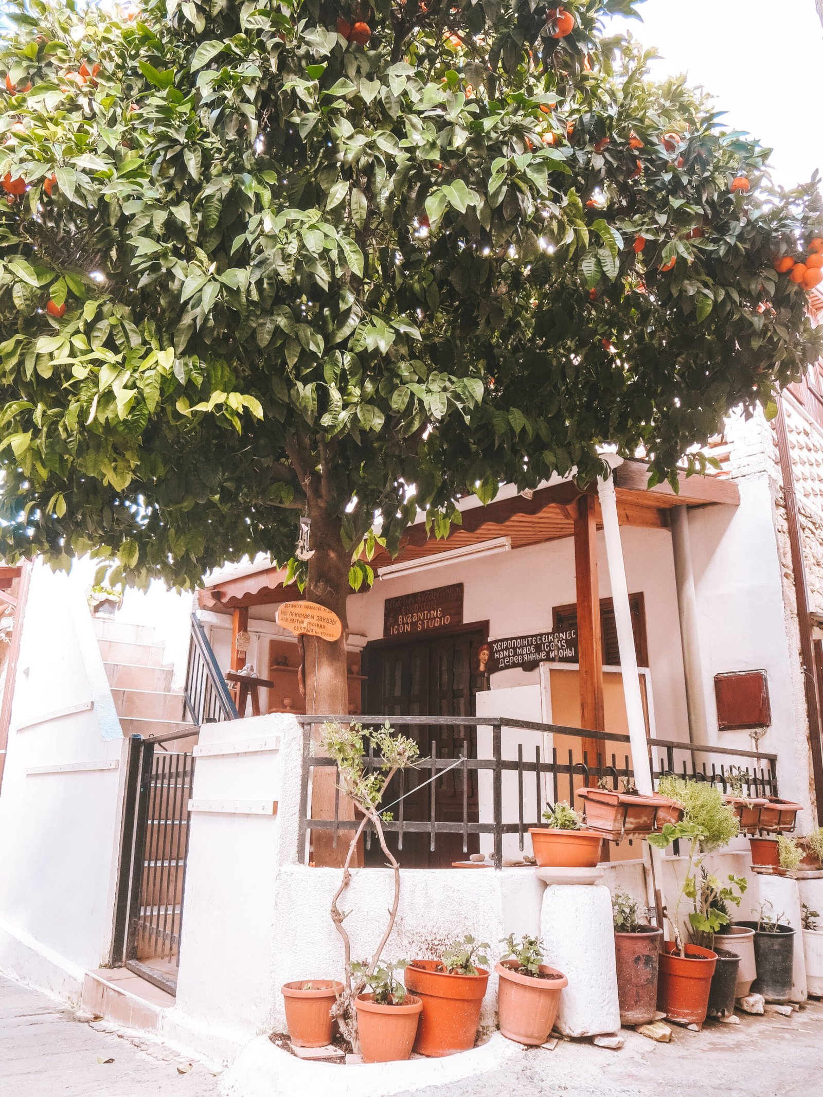 jana meerman omodos cyprus (6)