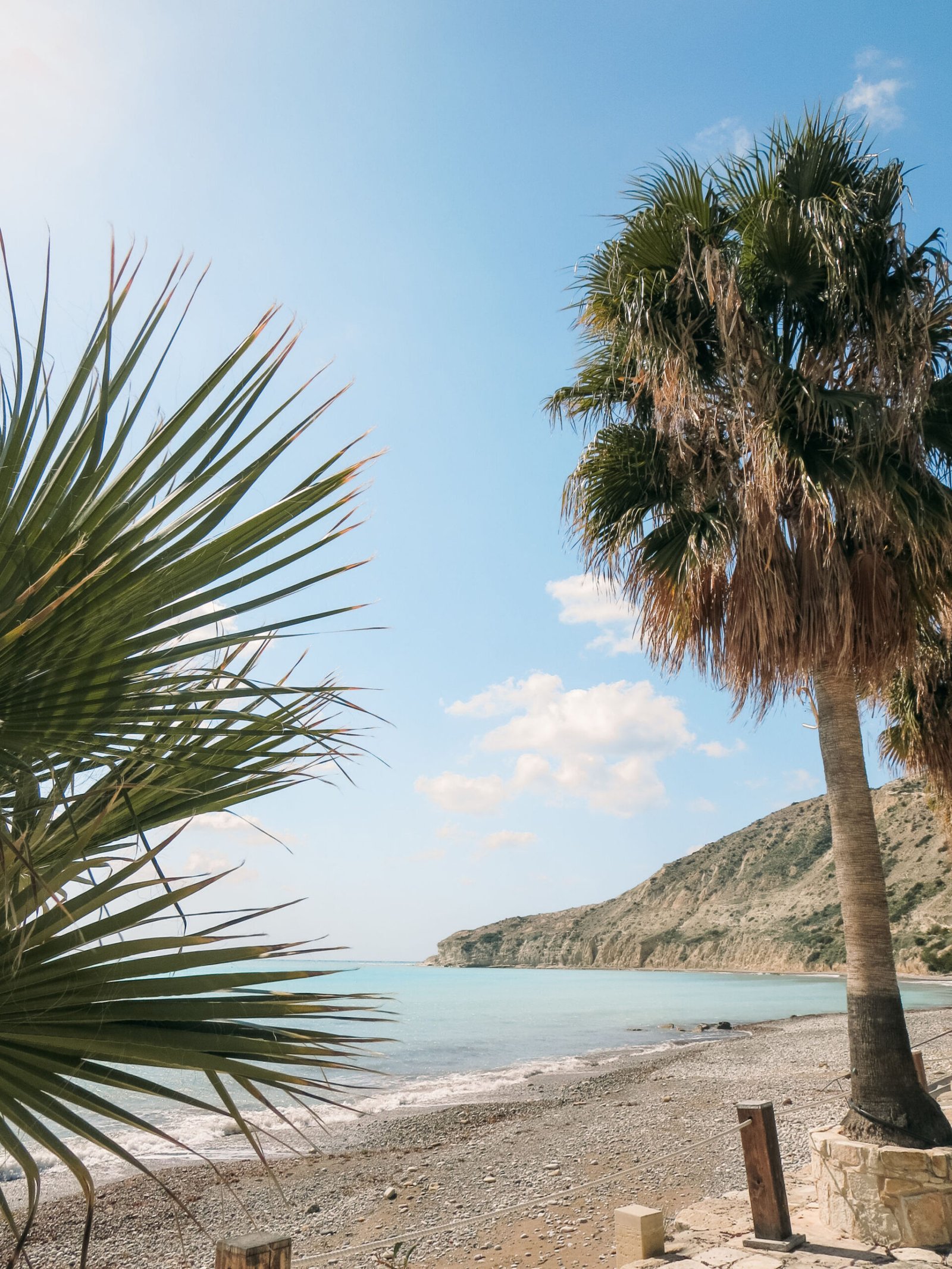 jana meerman pissouri cyprus (1)