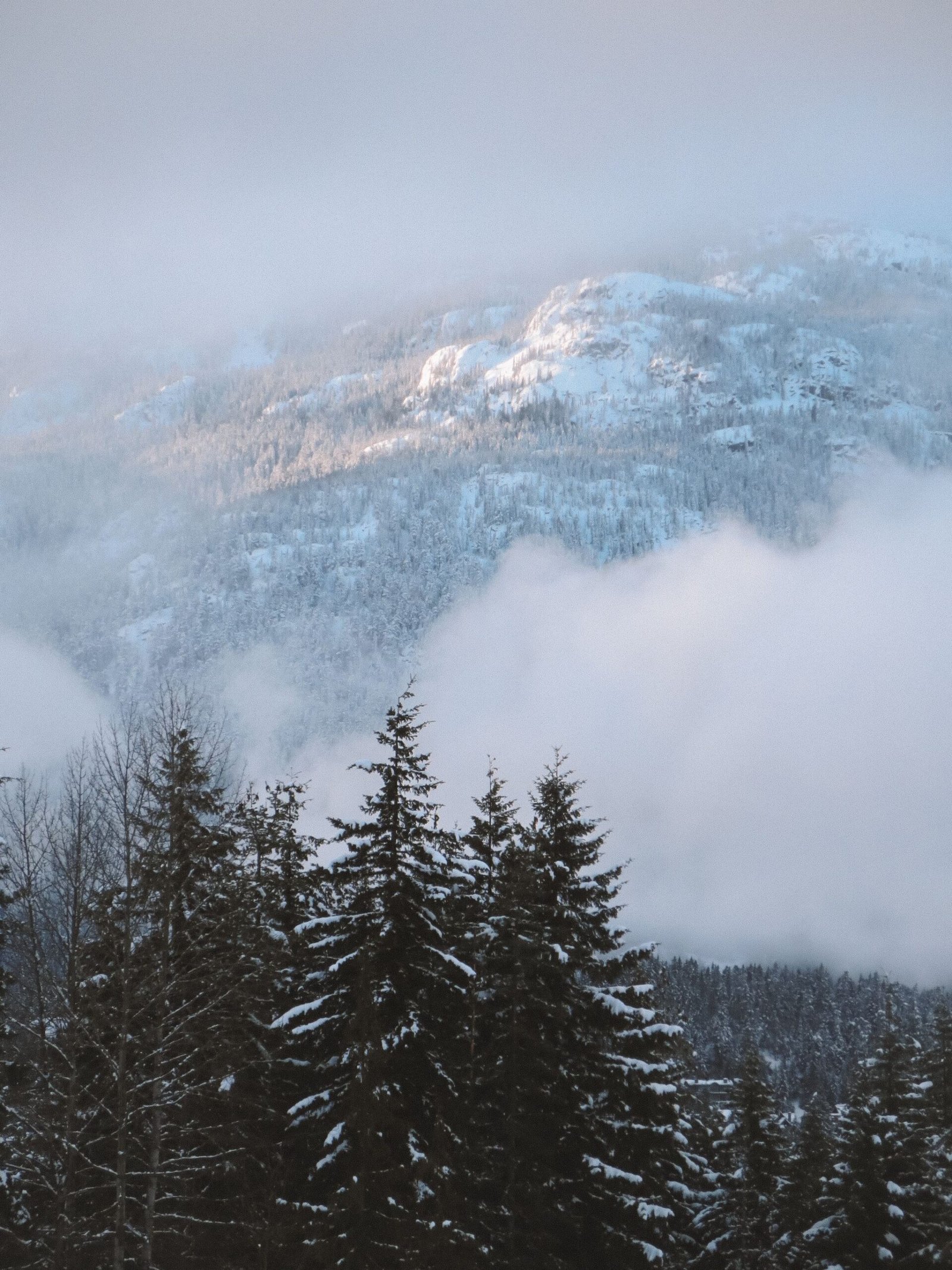 jana meerman whistler skiing (1)