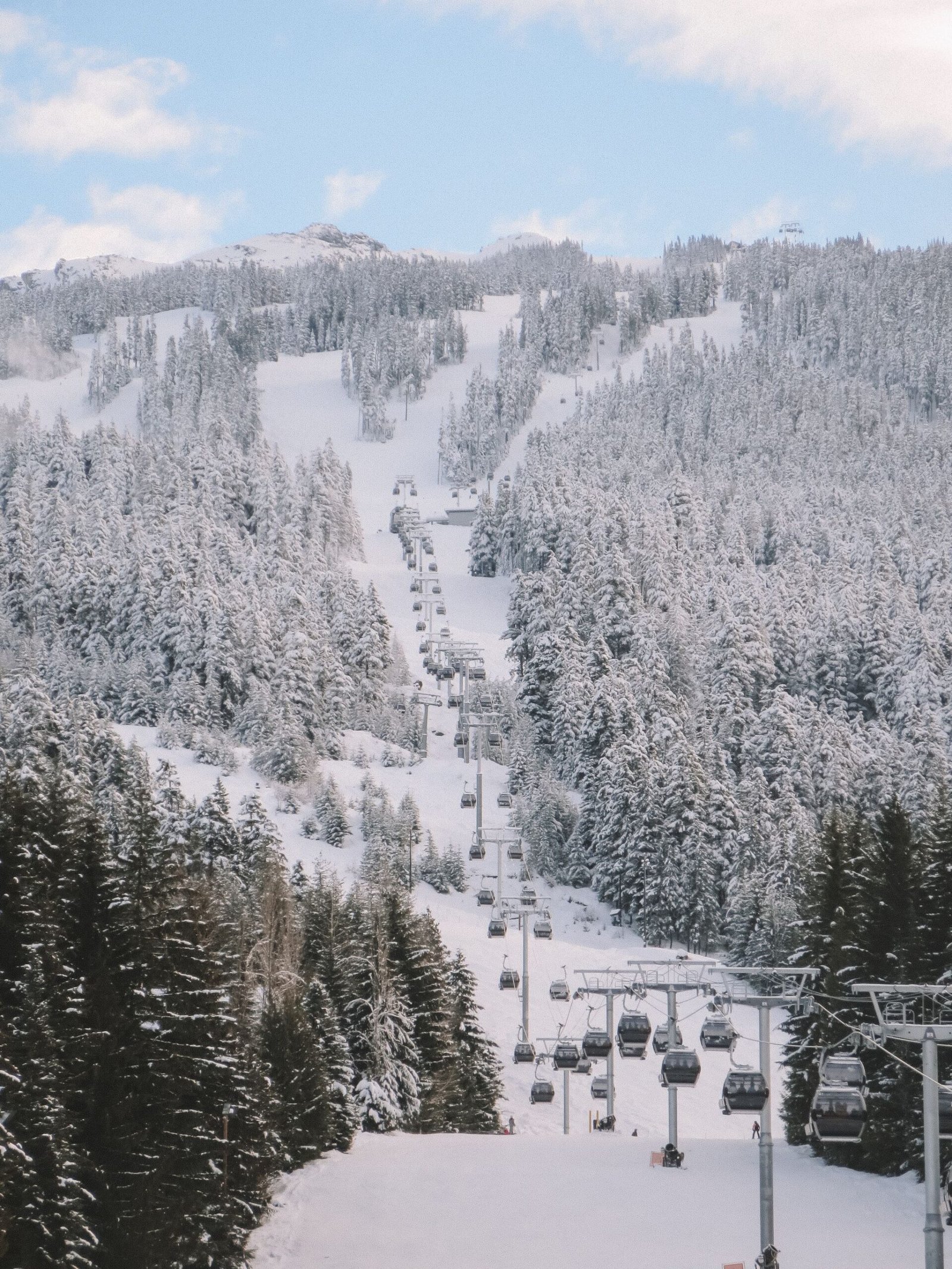 jana meerman whistler skiing (1)