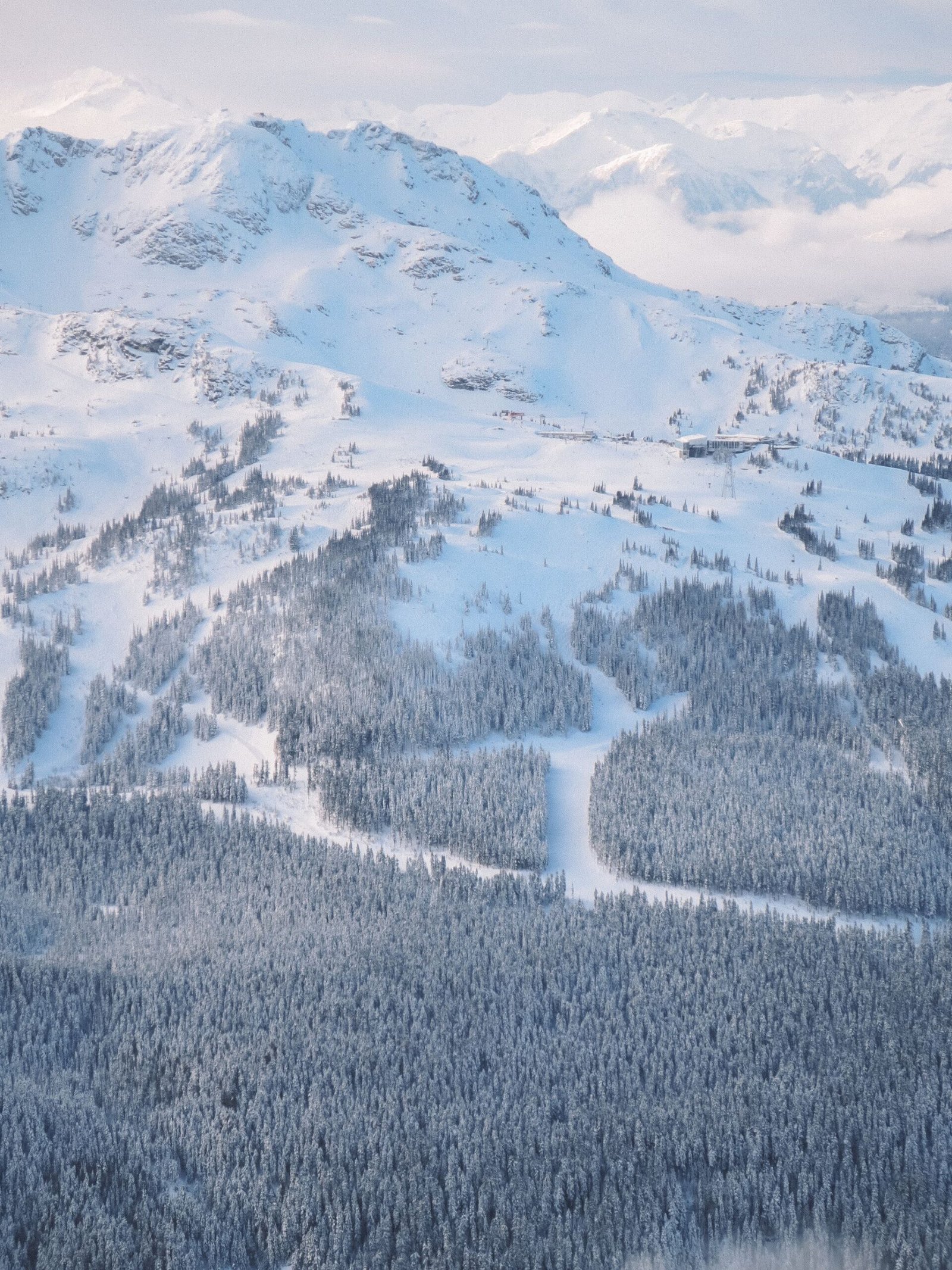 jana meerman whistler skiing (1)