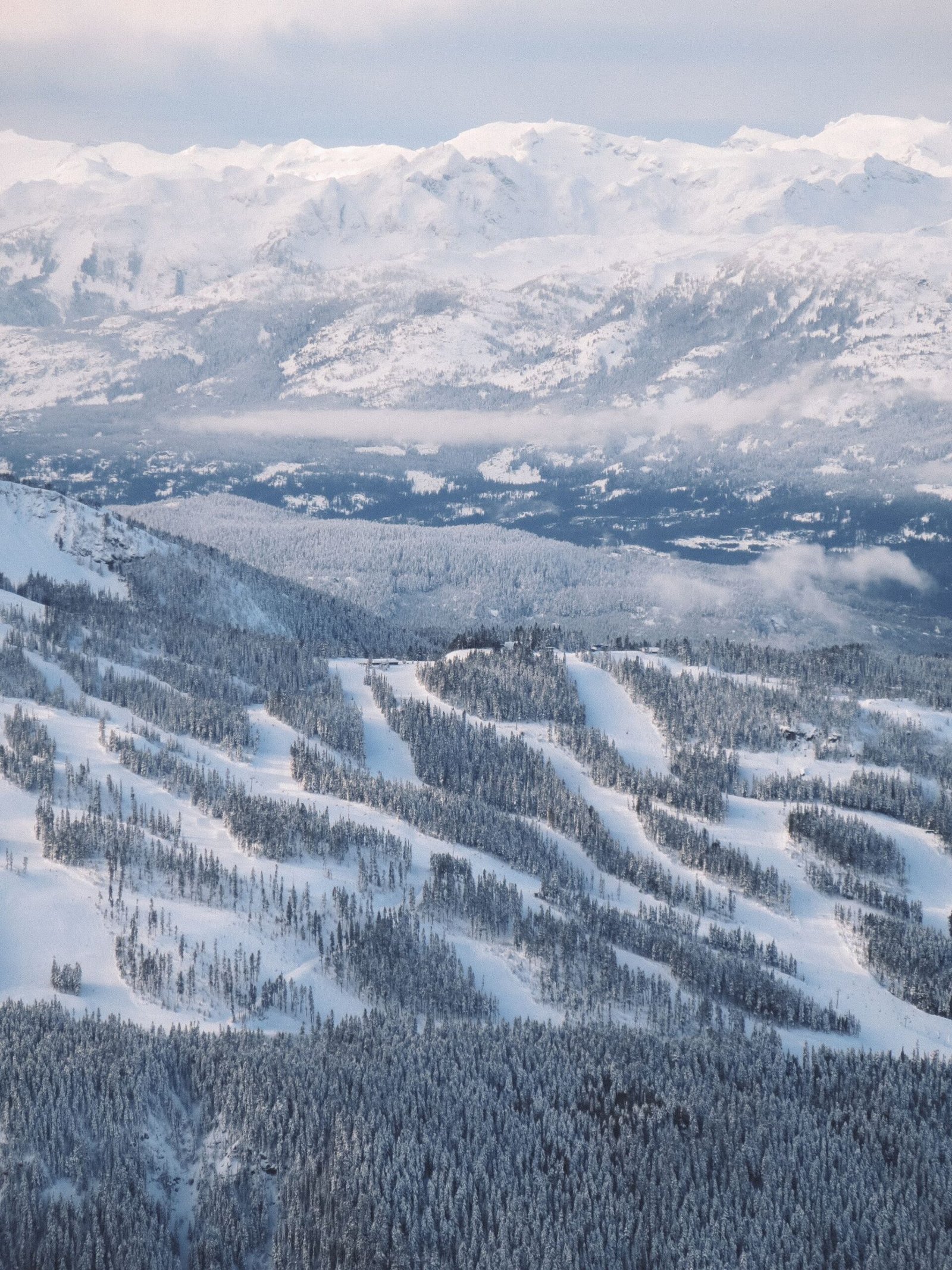 jana meerman whistler skiing (1)