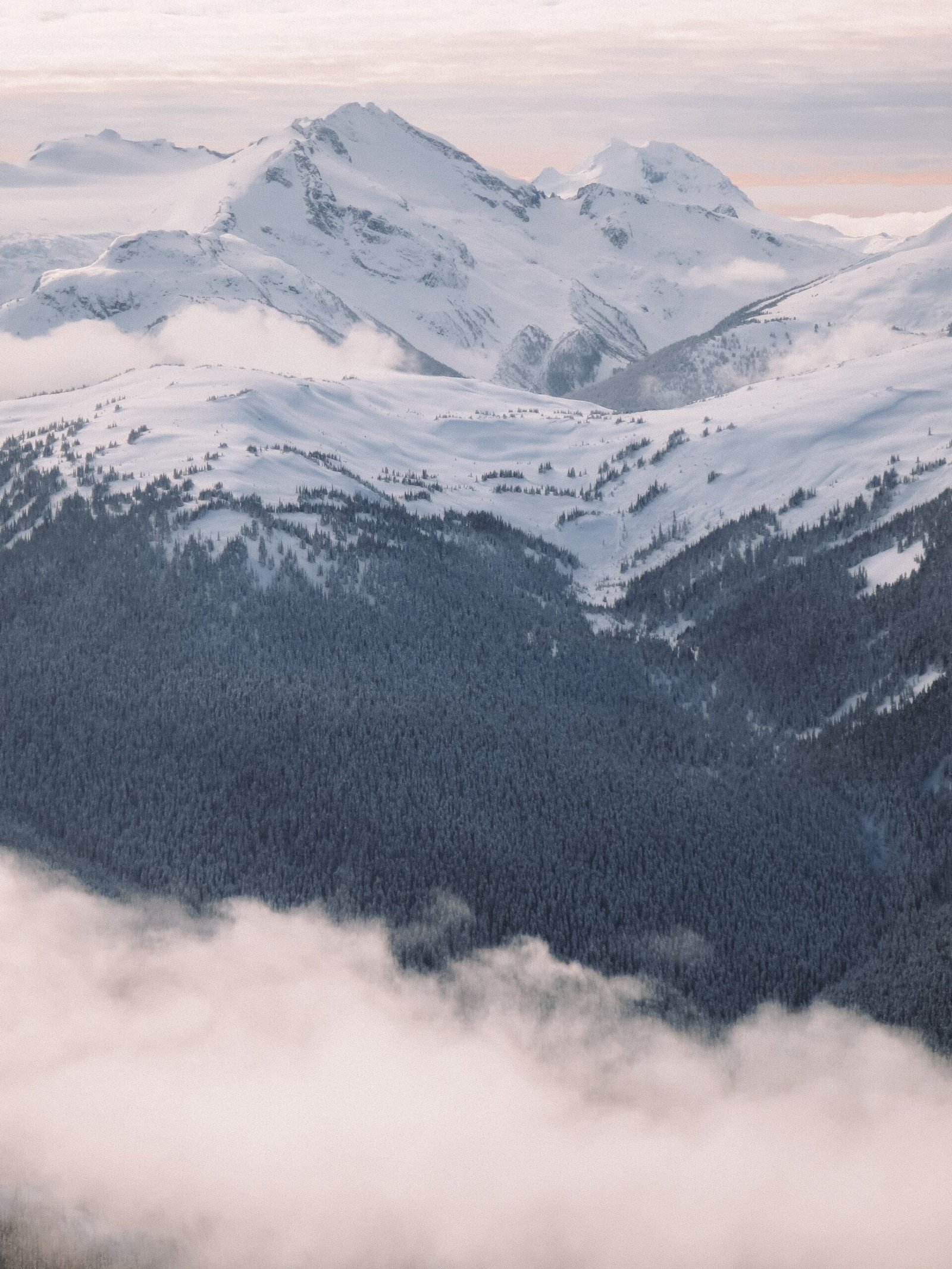 jana meerman whistler skiing (1)