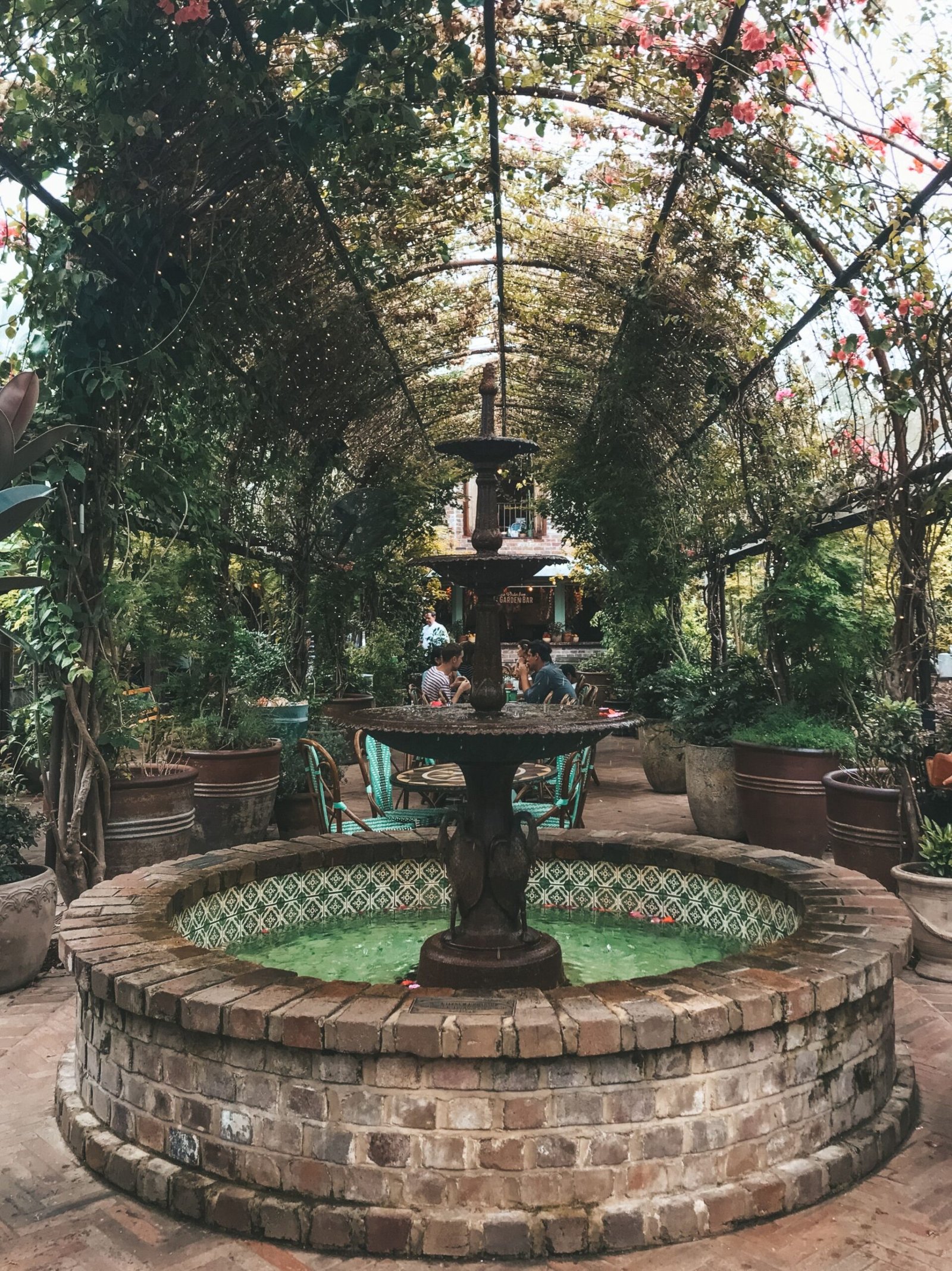 jana meerman grounds of alexandria