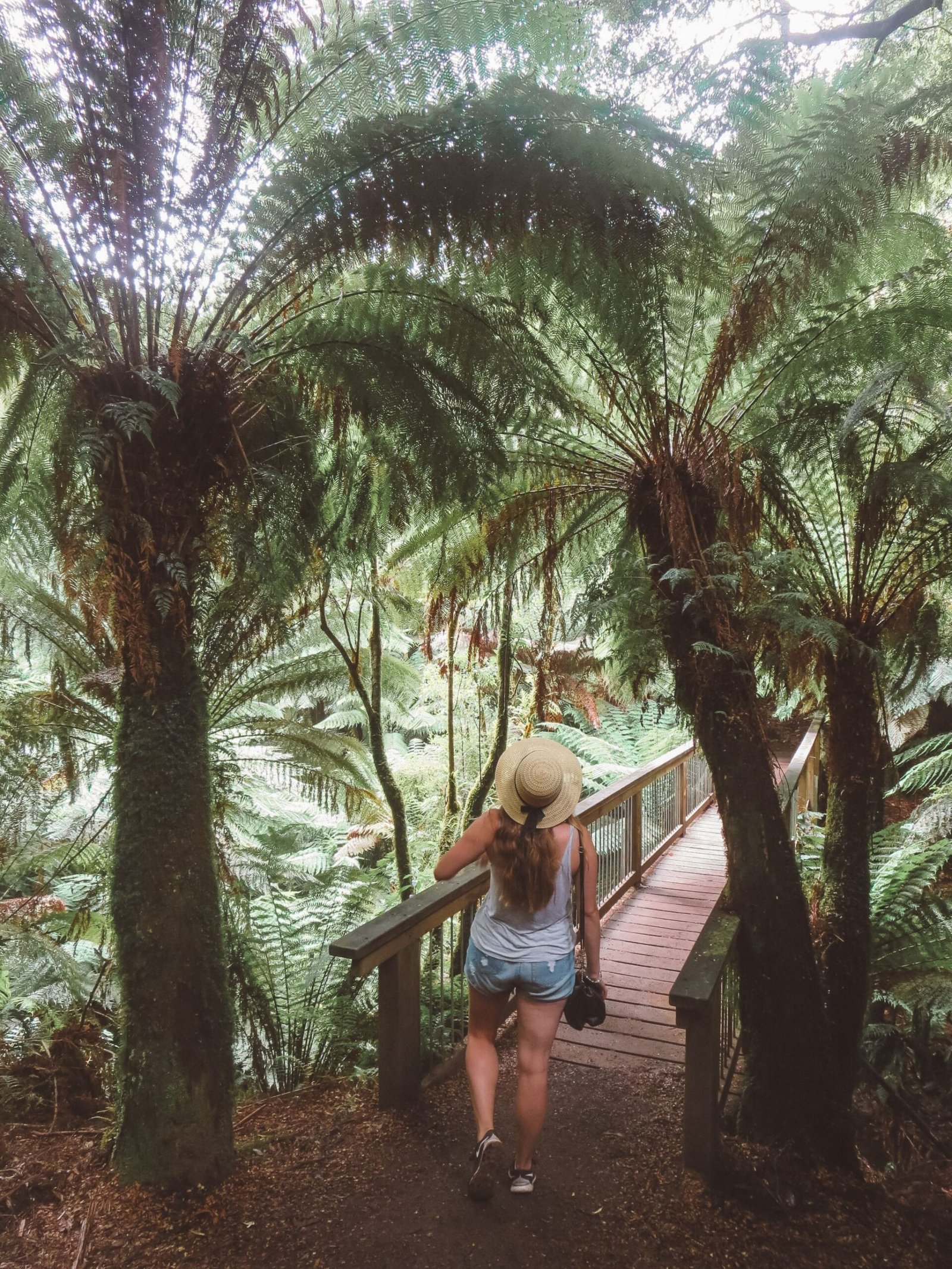 jana meerman great ocean road