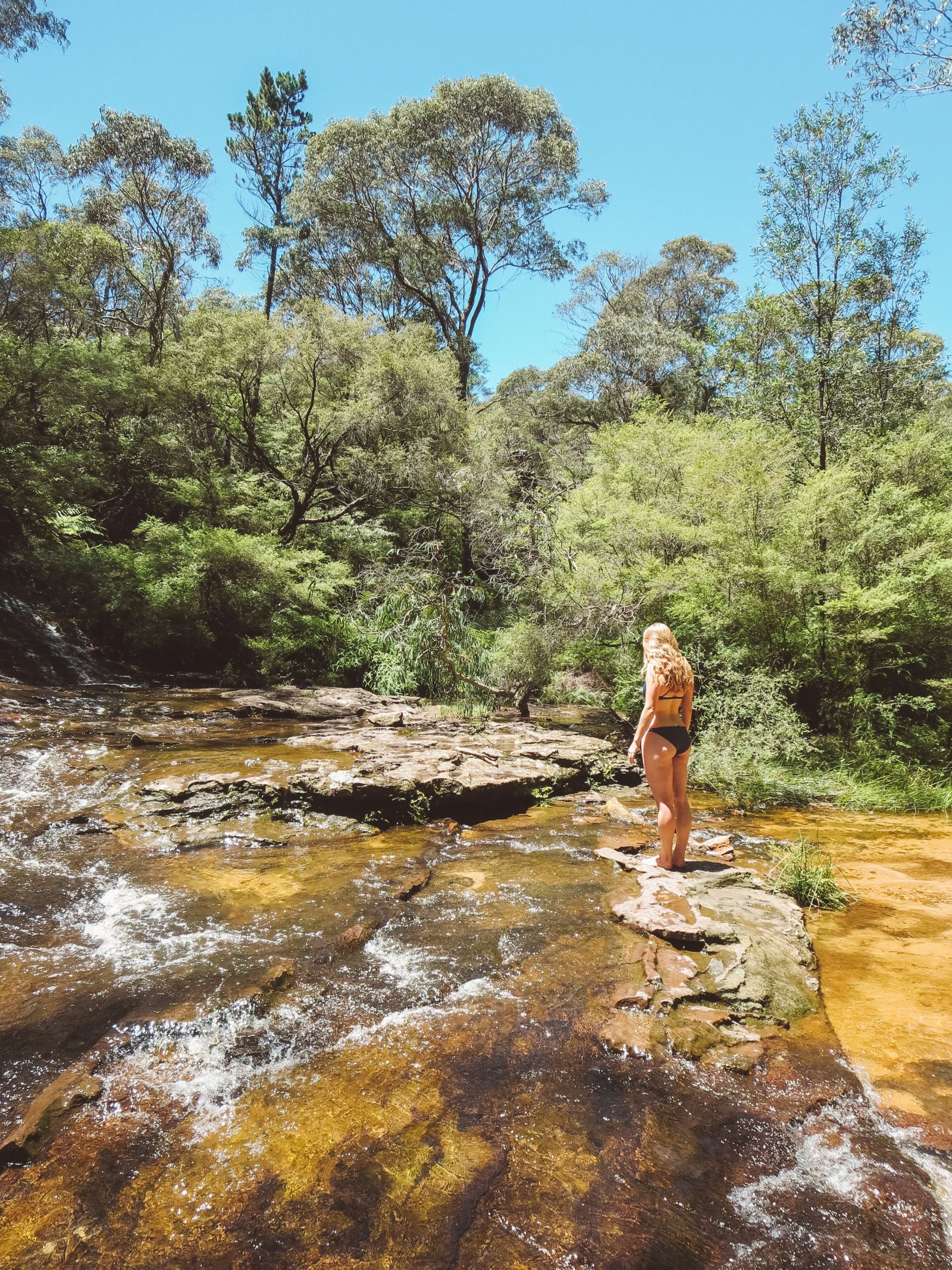 jana meerman blue mountains national park wentworth falls (6)