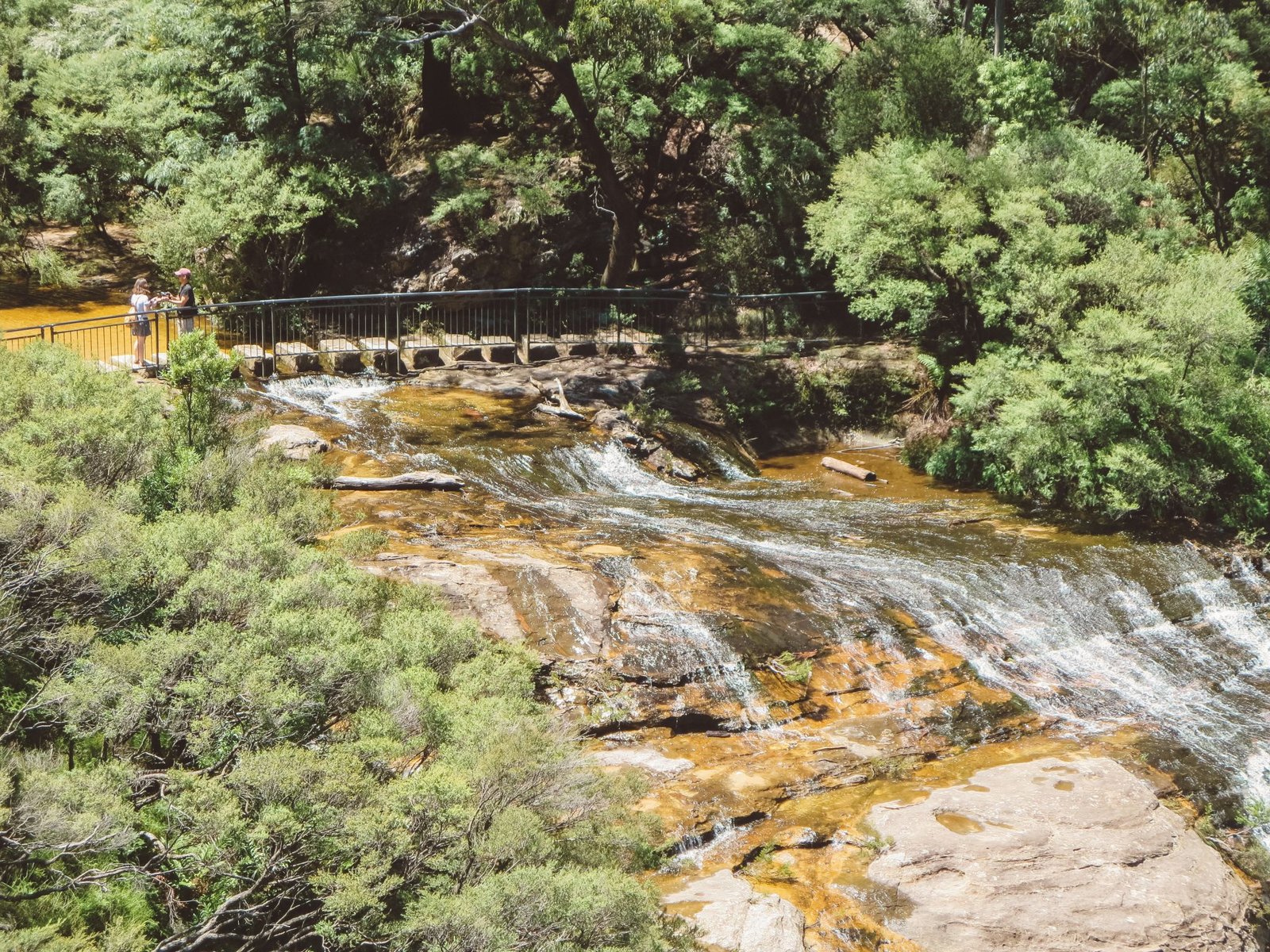 jana meerman blue mountains national park wentworth falls (6)