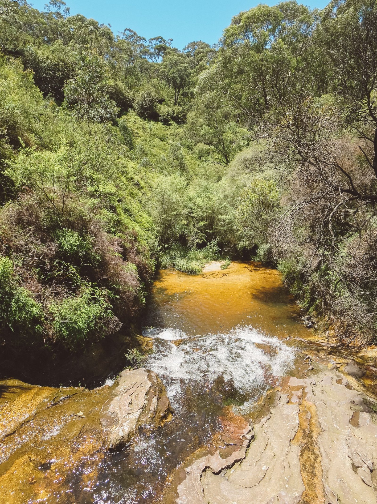 jana meerman blue mountains national park wentworth falls (6)