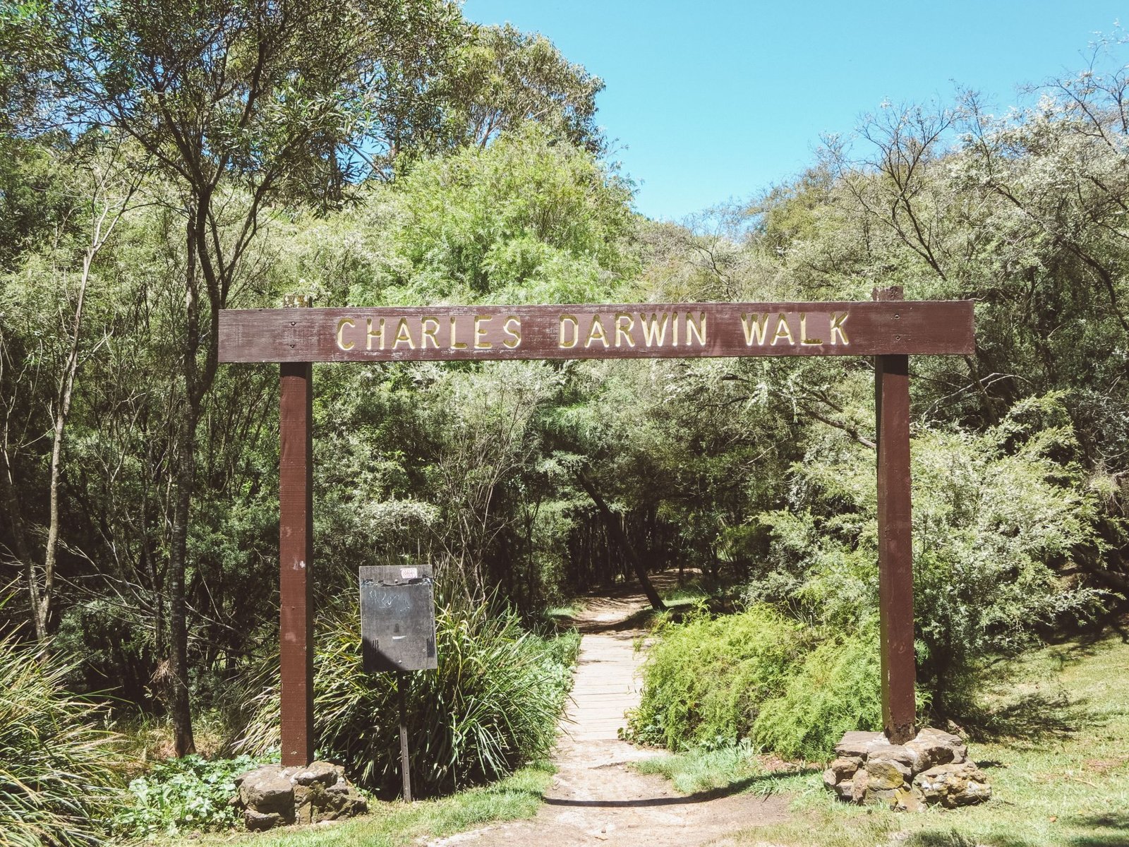 jana meerman blue mountains national park wentworth falls (6)