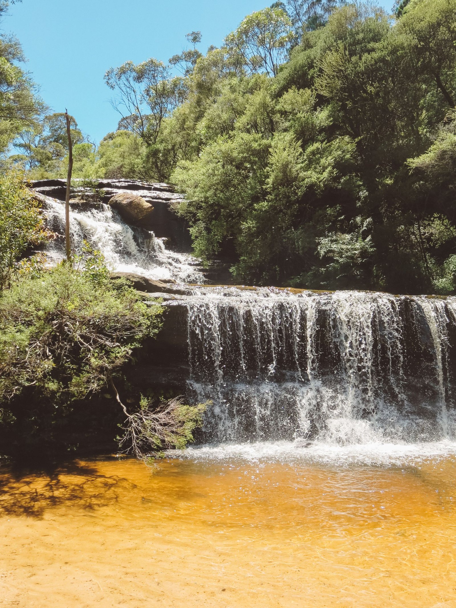 jana meerman blue mountains national park wentworth falls (6)