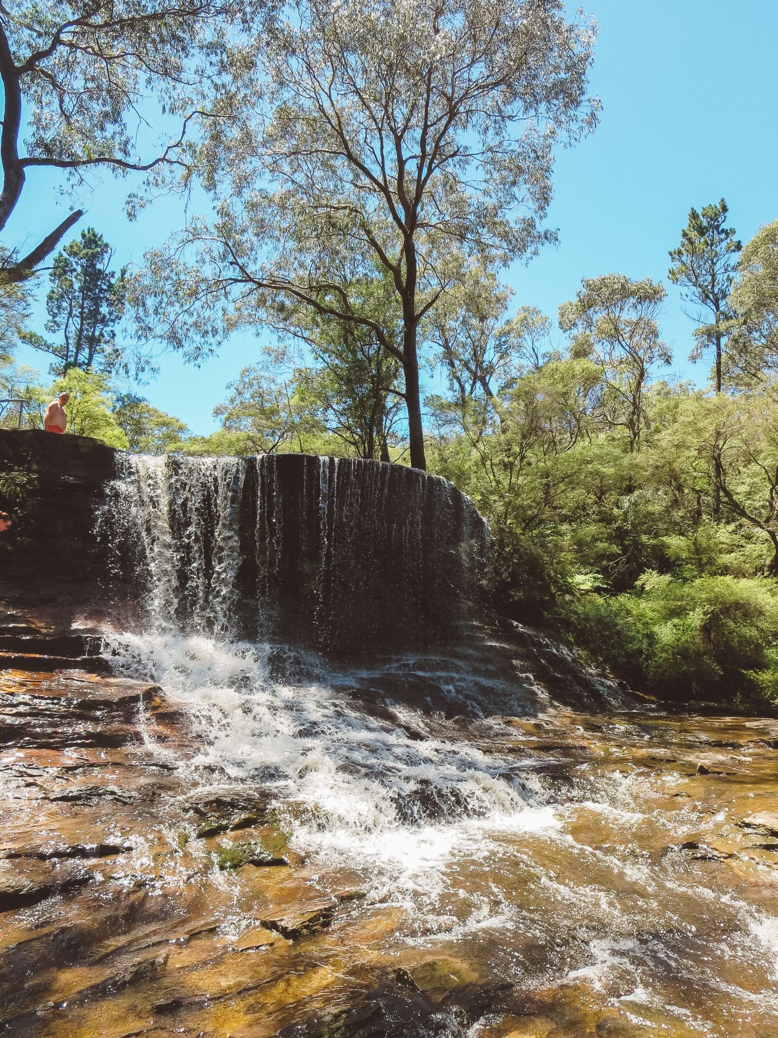 jana meerman blue mountains national park wentworth falls (6)