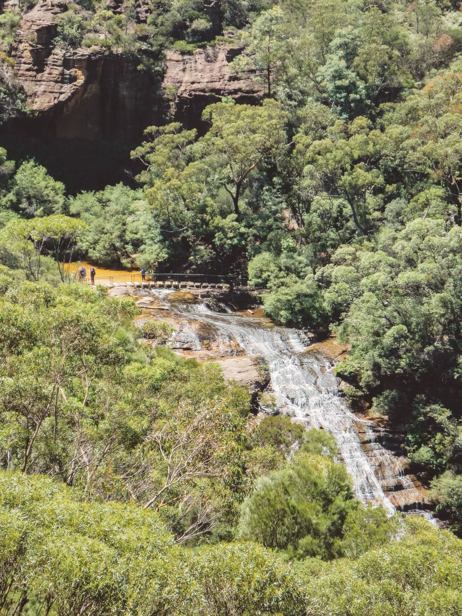 jana meerman blue mountains national park wentworth falls (6)