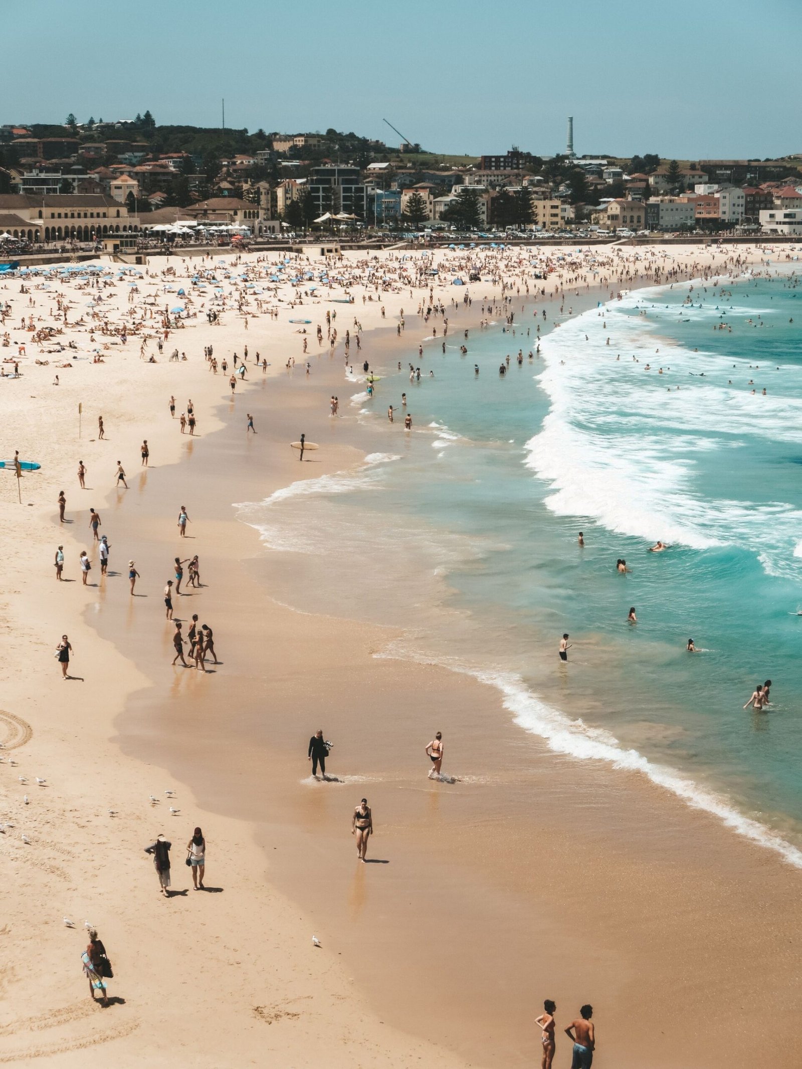 jana meerman bondi beach sydney australia (4)