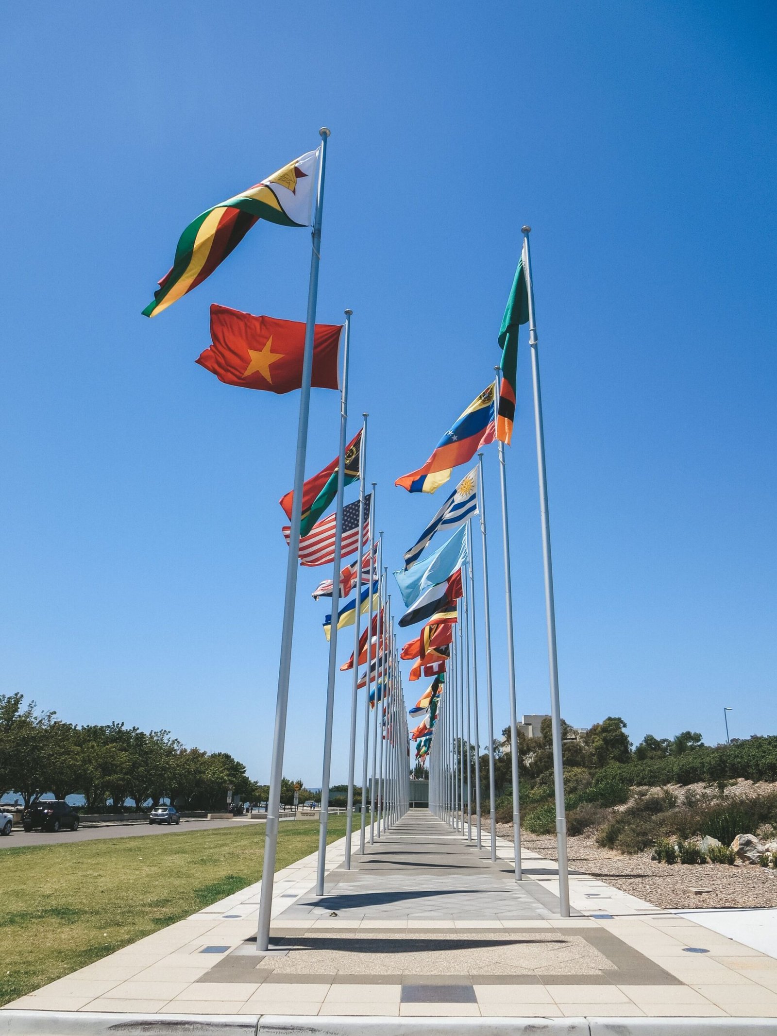 jana meerman canberra (6)