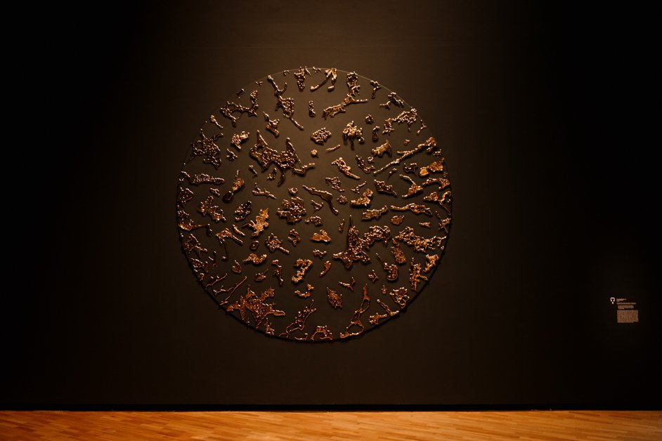 jana meerman canberra australia-6