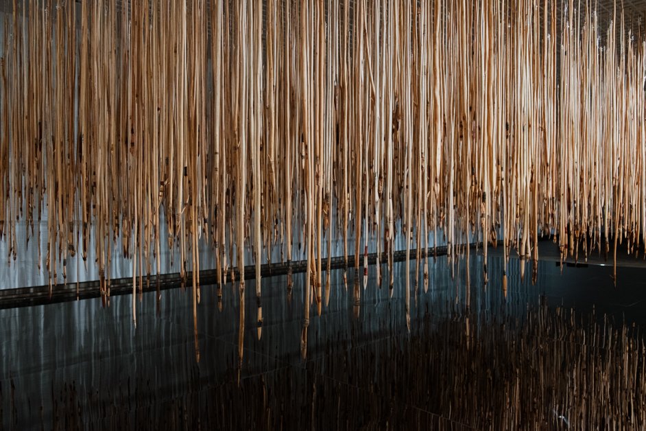 jana meerman canberra australia-6