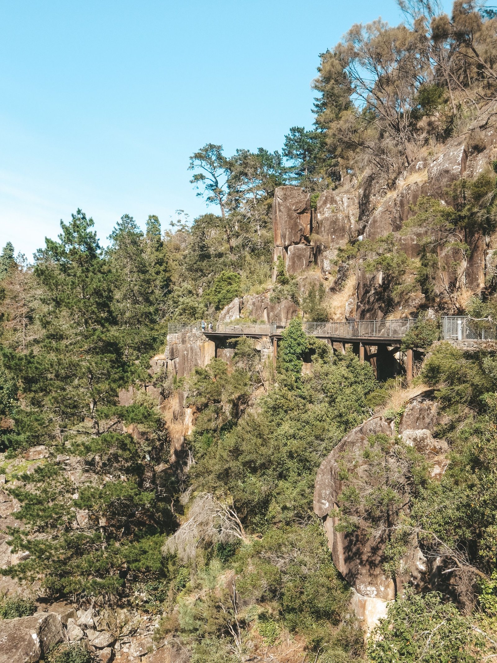 jana meerman cataract gorge launceston (3)