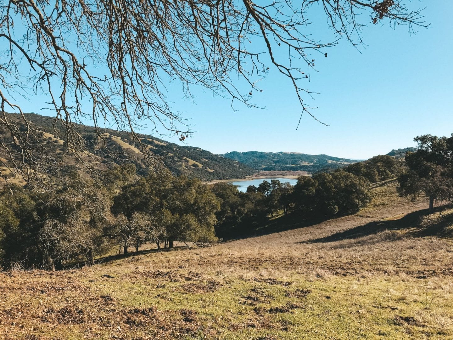 jana meerman coyote lake harvey bear ranch california (2)