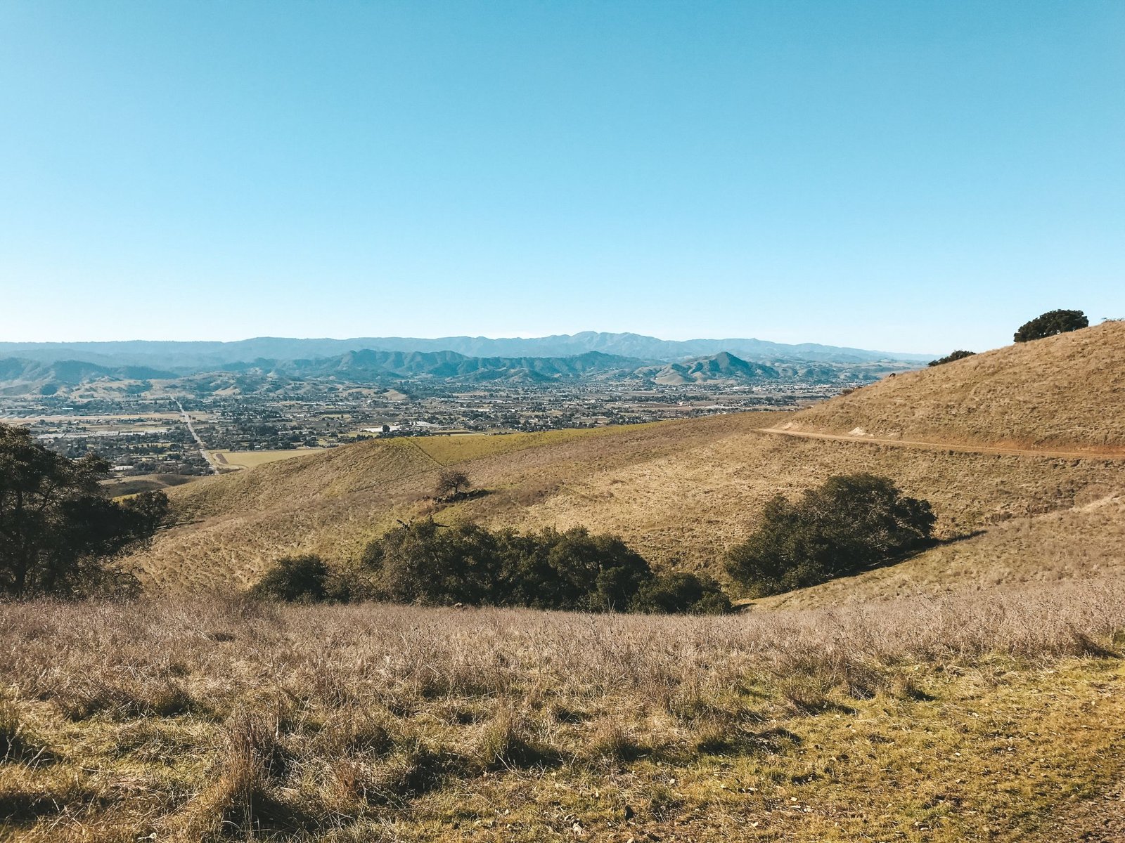 jana meerman coyote lake harvey bear ranch california (2)