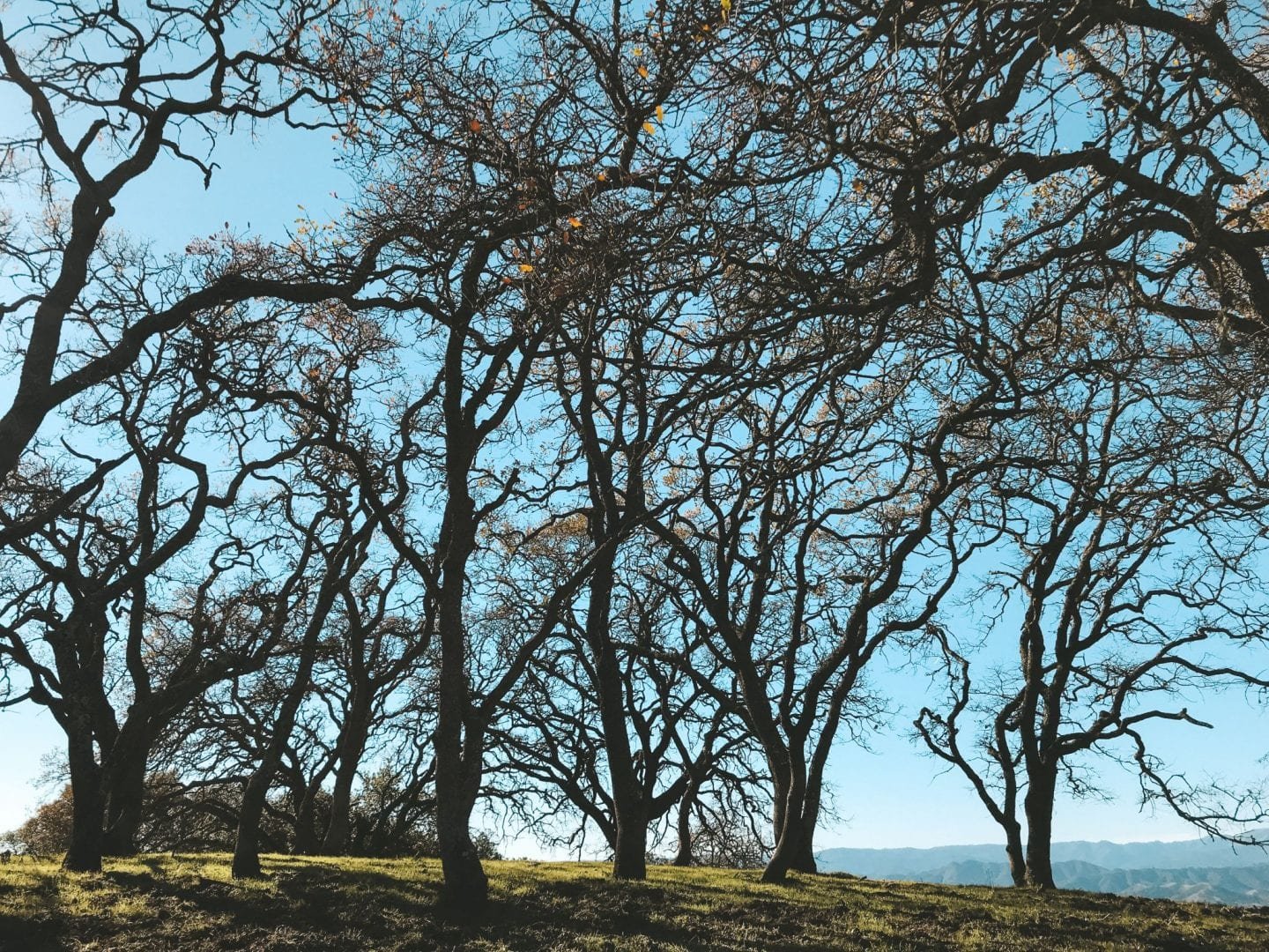 jana meerman coyote lake harvey bear ranch california (4)
