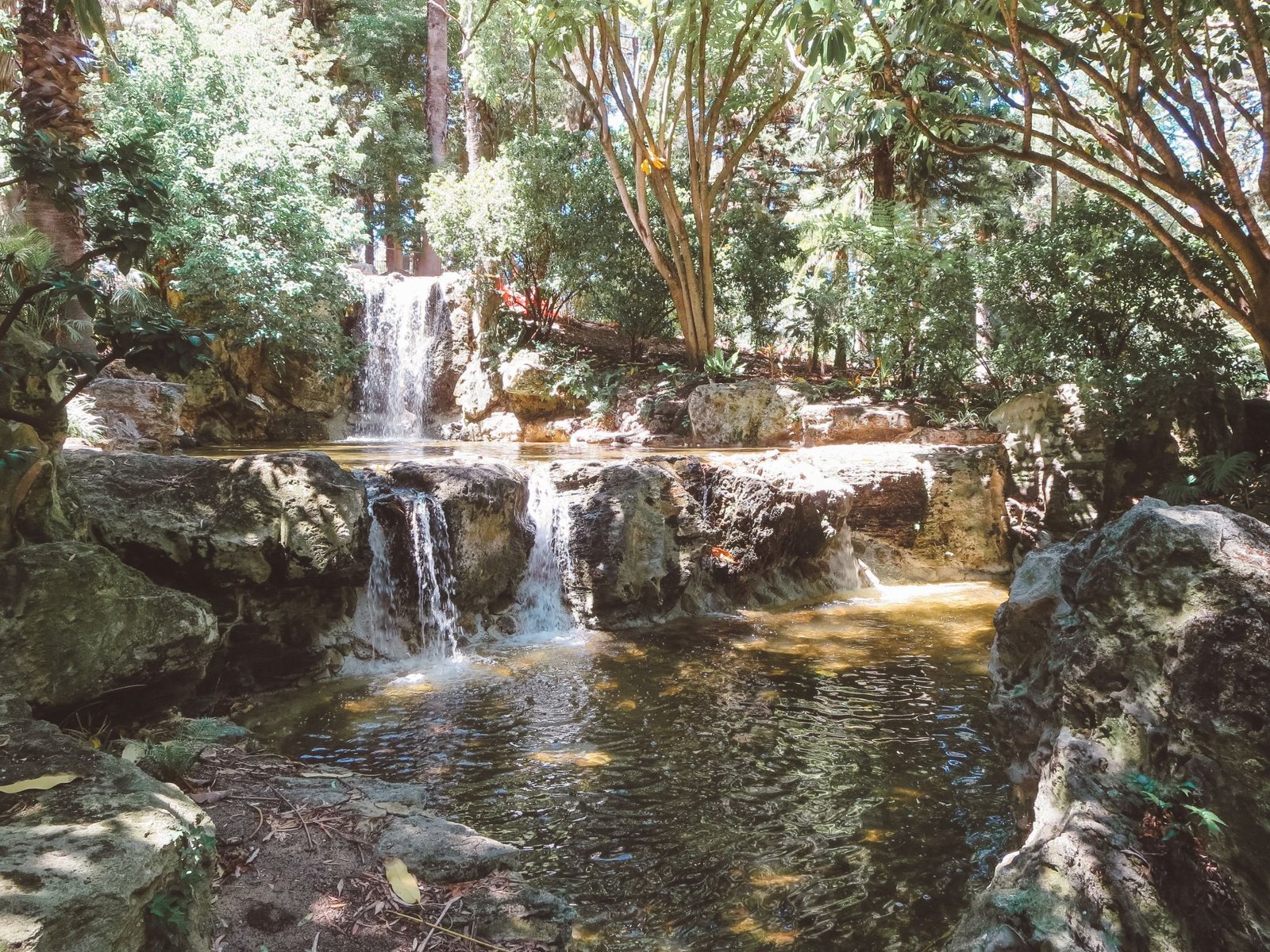 jana meerman kings park perth (1)