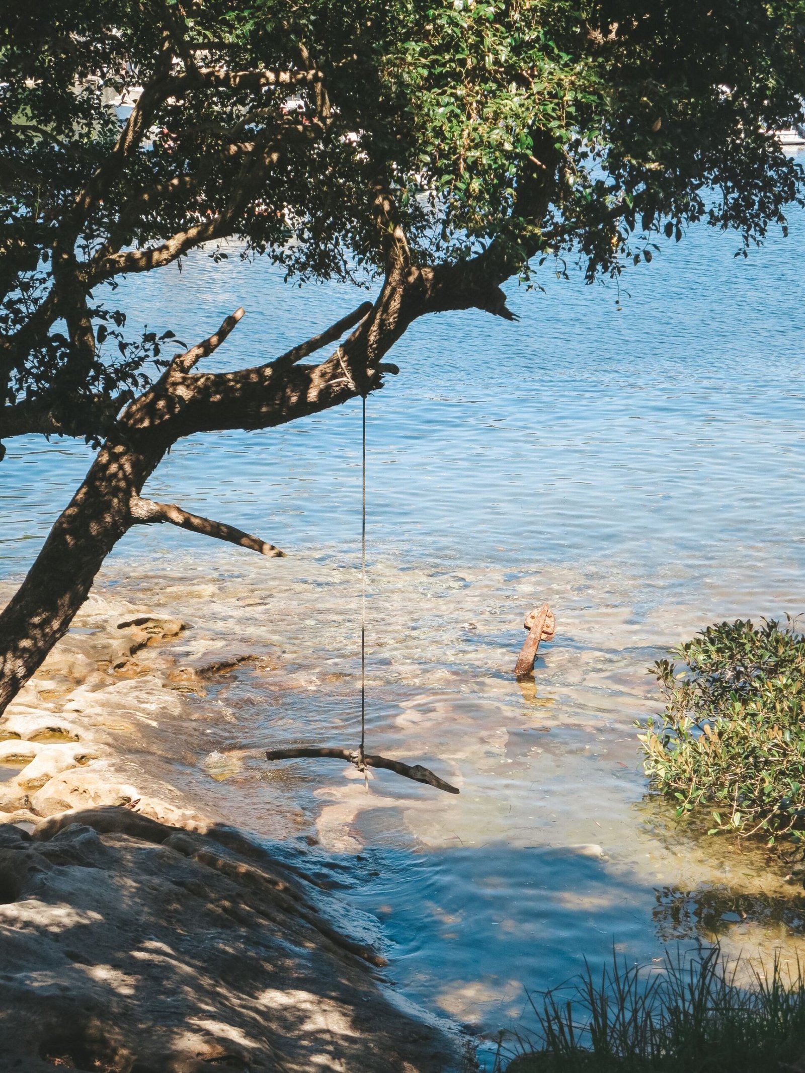 jana meerman manly to spit sydney (1)