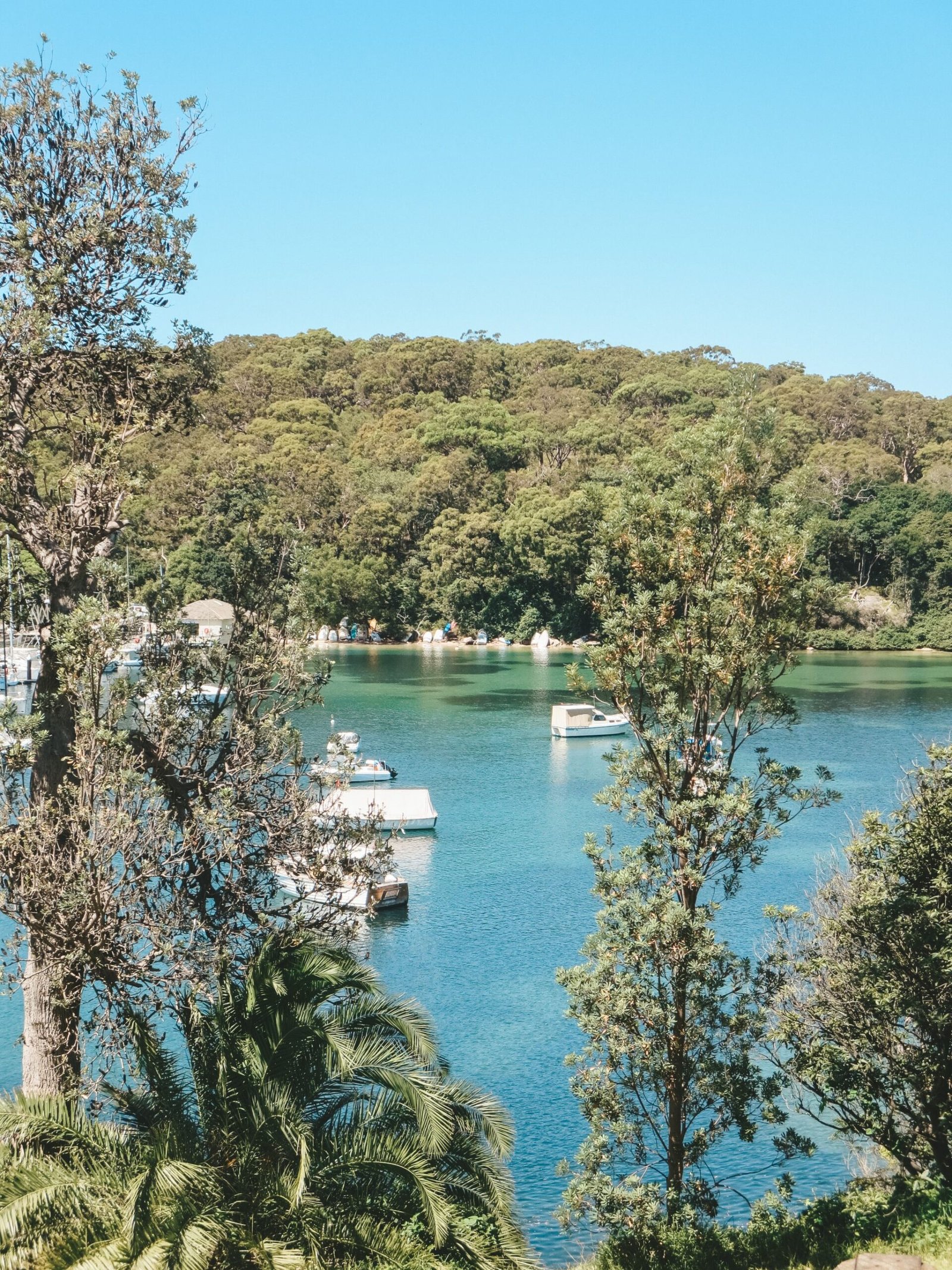 jana meerman manly to spit sydney (1)