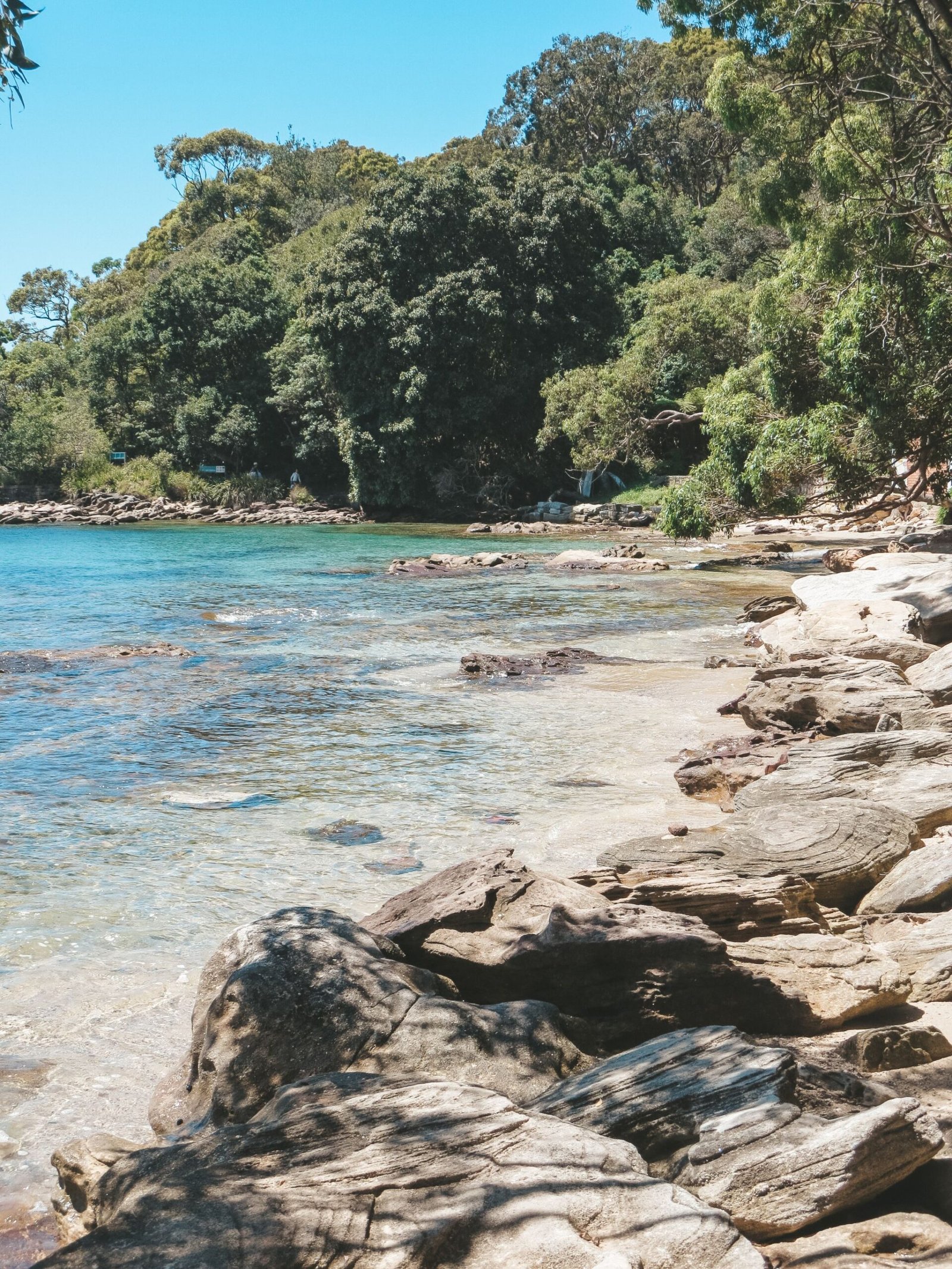 jana meerman manly to spit sydney (1)