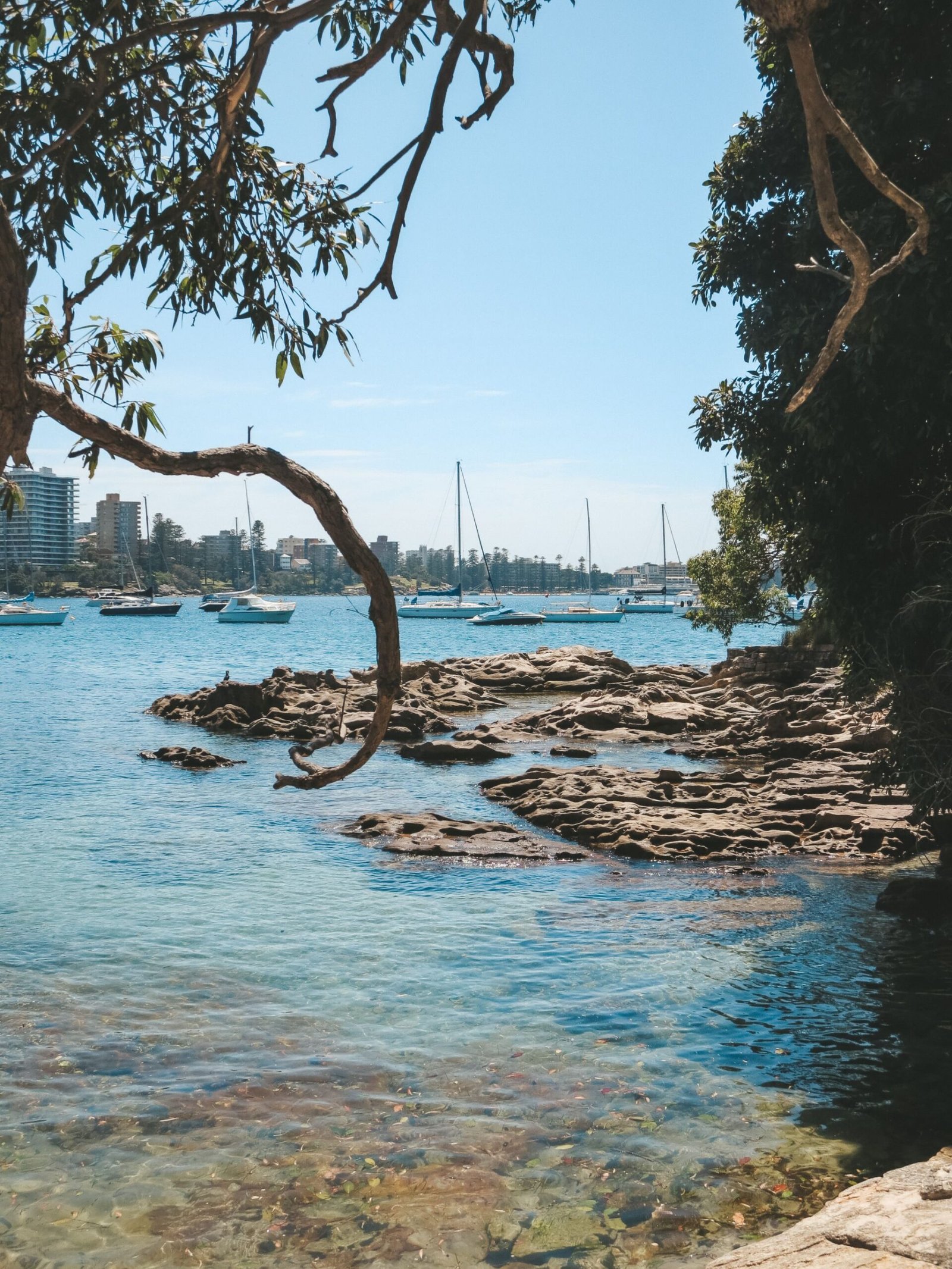 jana meerman manly to spit sydney (1)