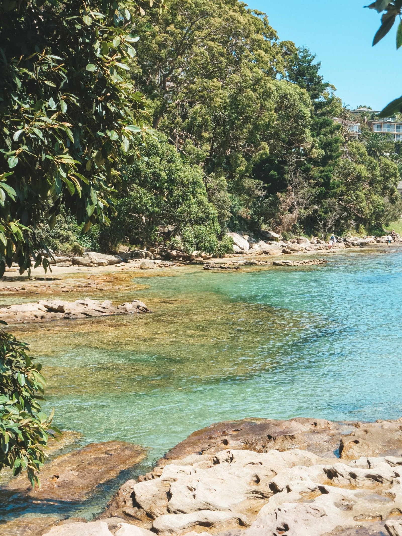 jana meerman manly to spit sydney (1)