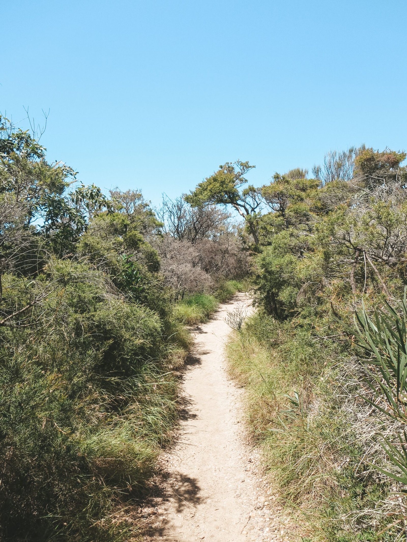 jana meerman manly to spit sydney (1)