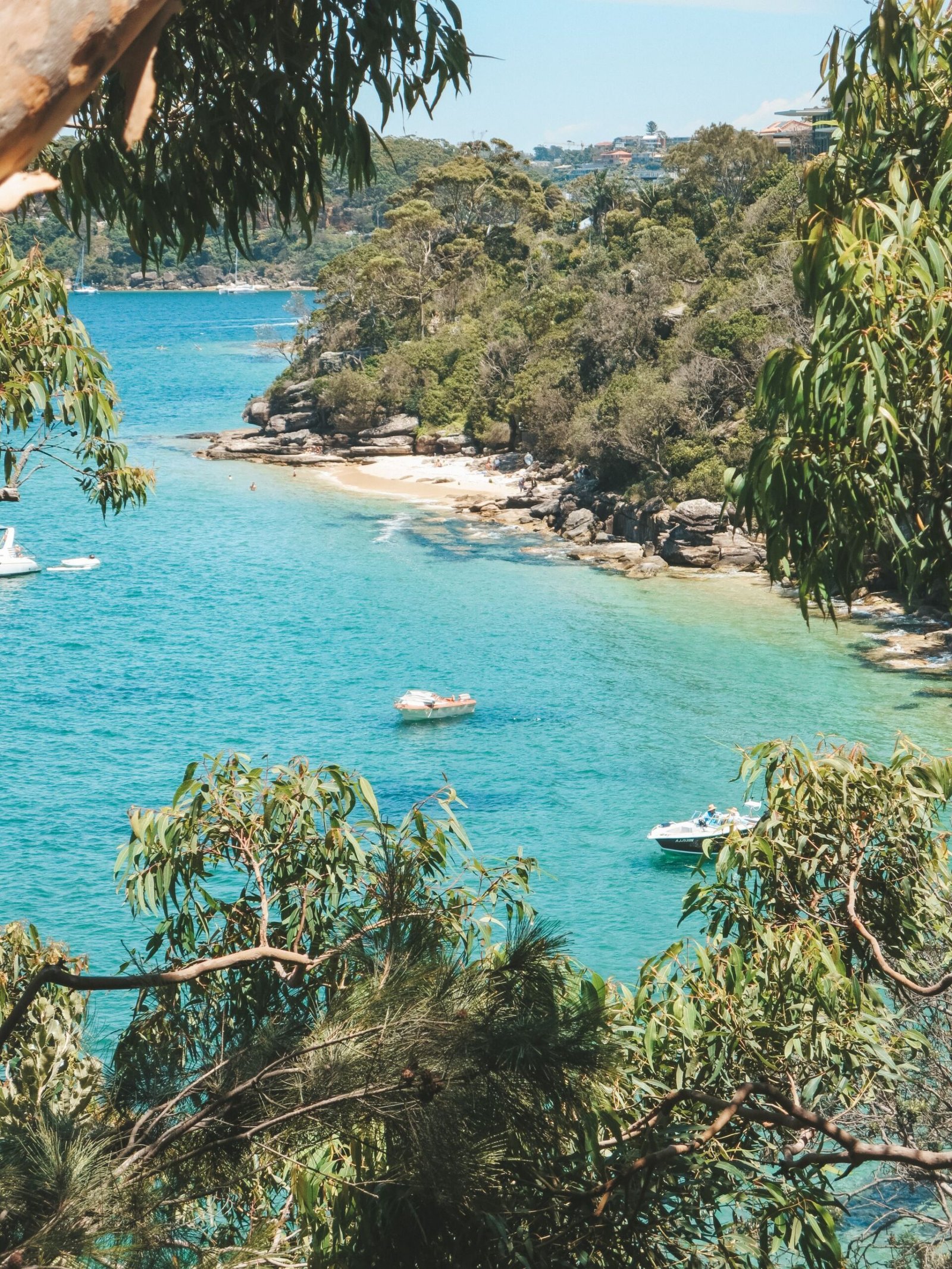 jana meerman manly to spit sydney (1)