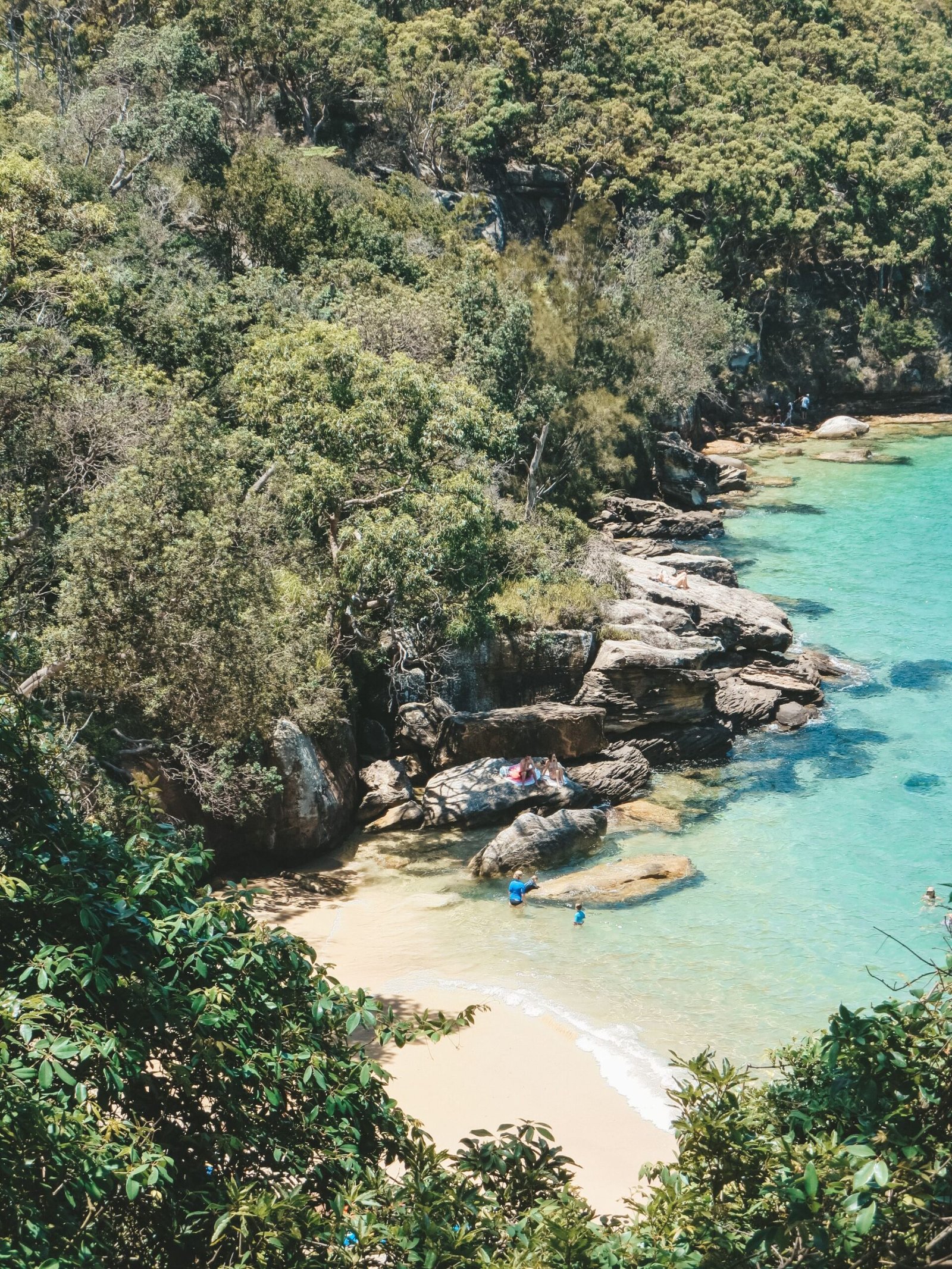 jana meerman manly to spit sydney (1)