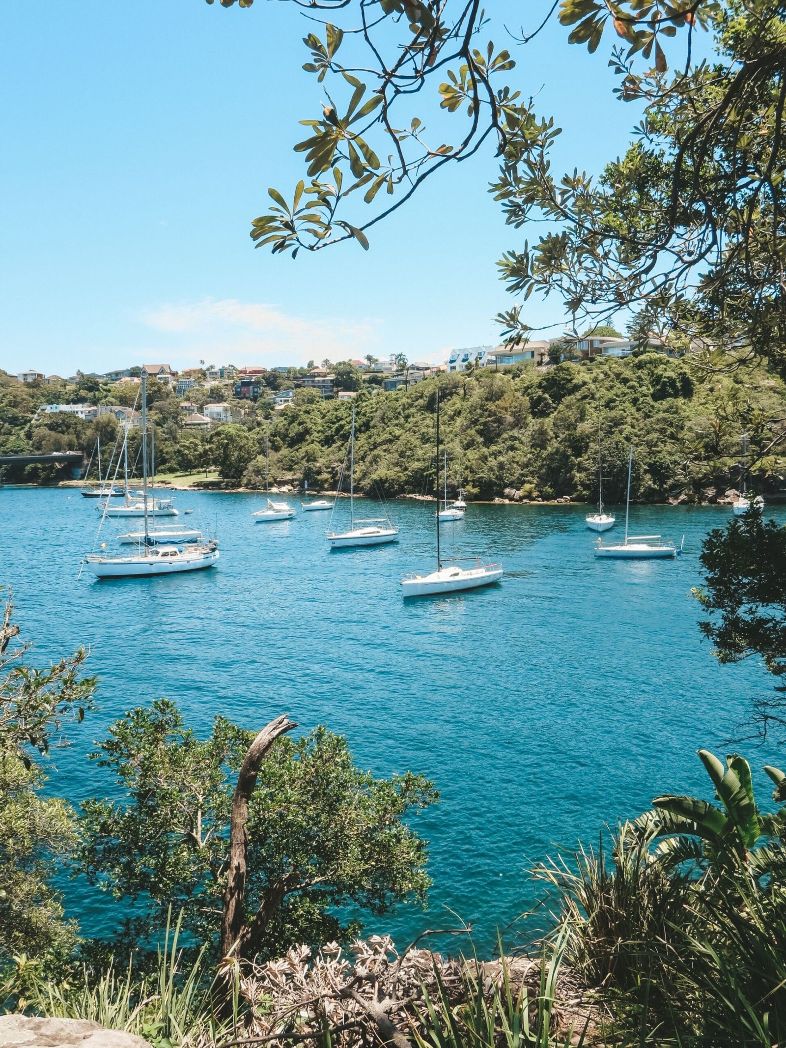 jana meerman manly to spit sydney (1)