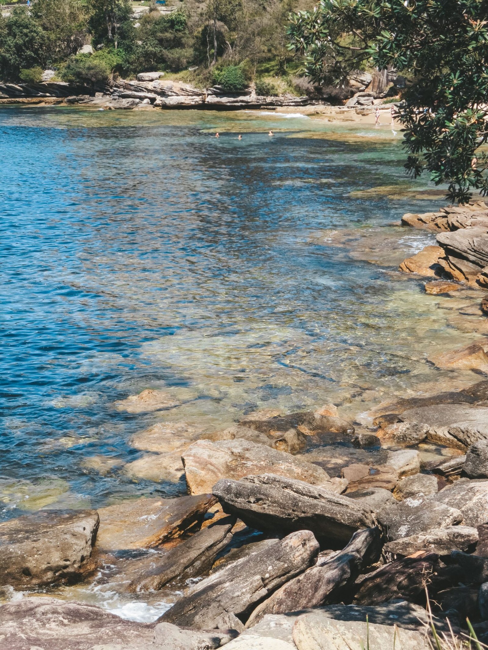 jana meerman manly to spit sydney (1)