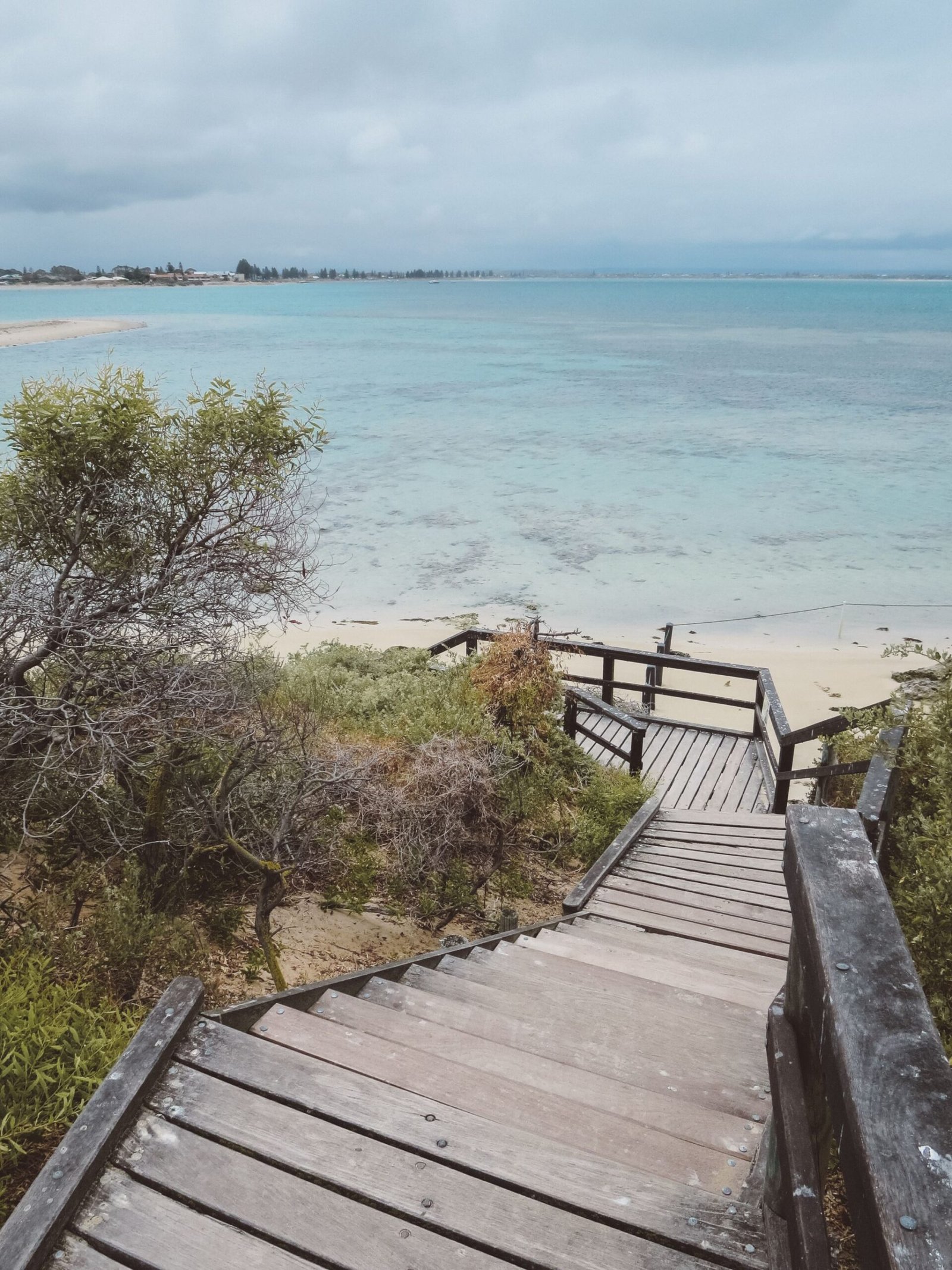 jana meerman penguin island perth (4)