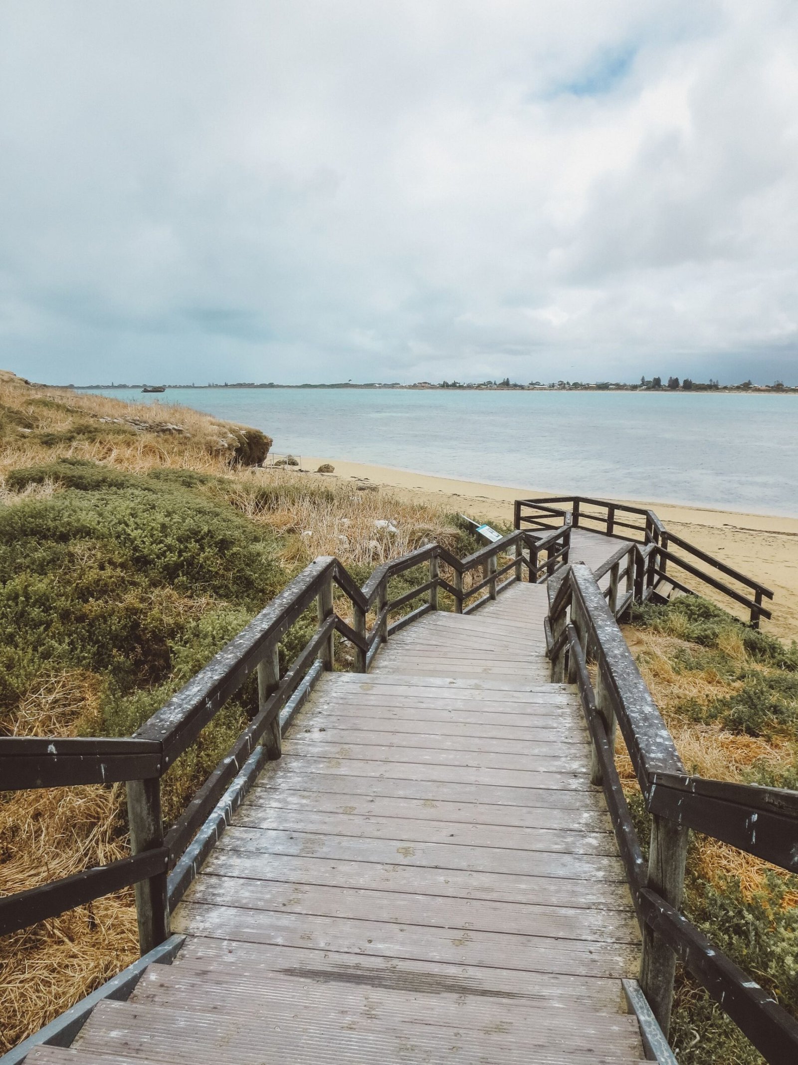 jana meerman penguin island perth (1)