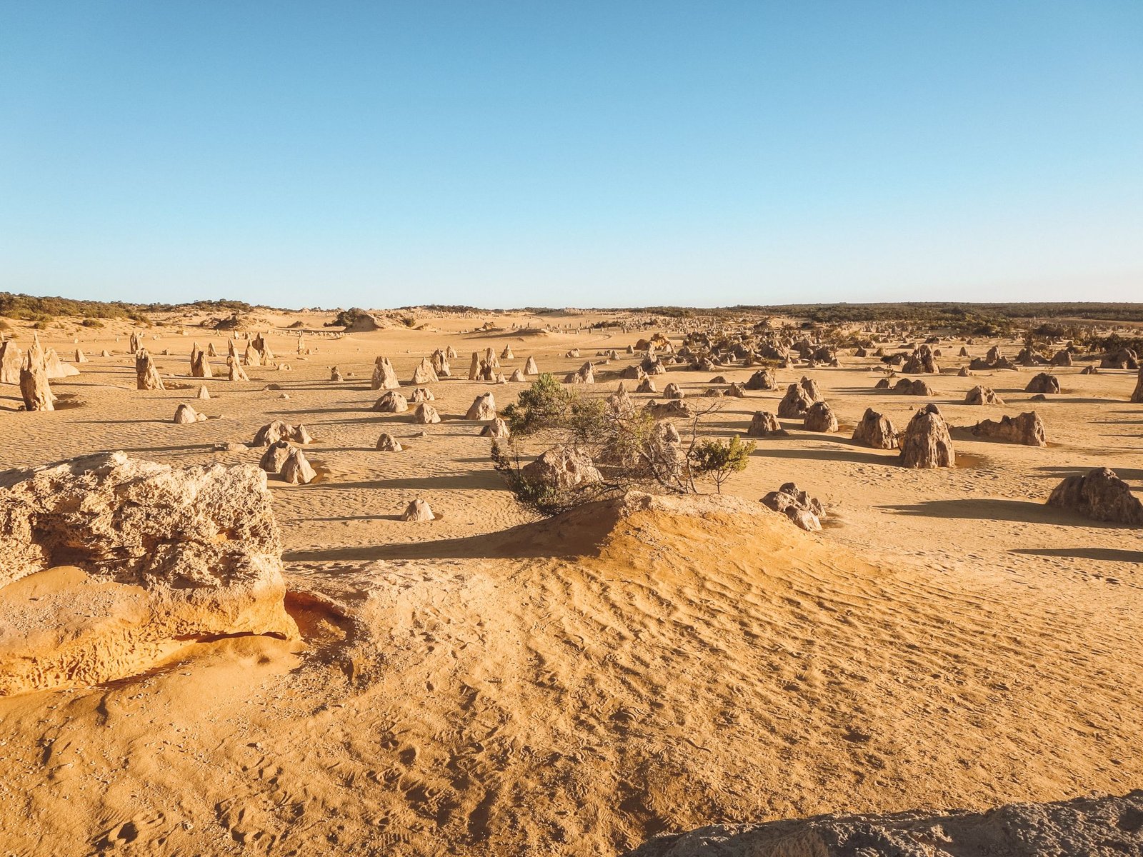 jana meerman pinnacles nambung national park (3)