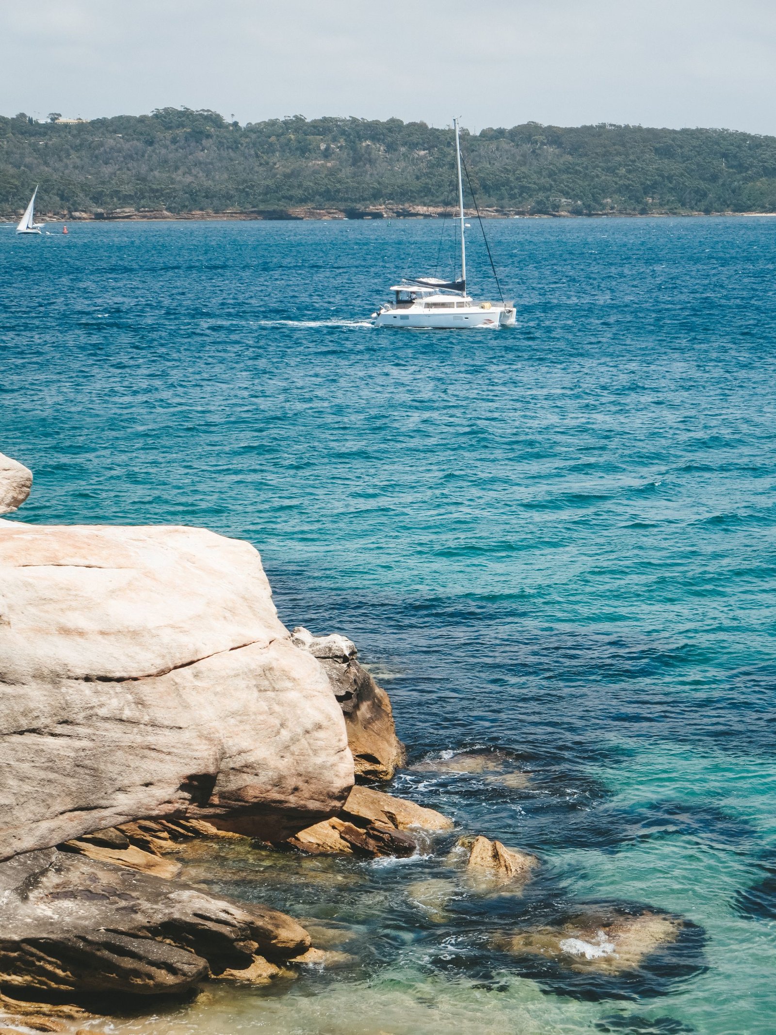 jana meerman rose bay watsons bay sydney (1)