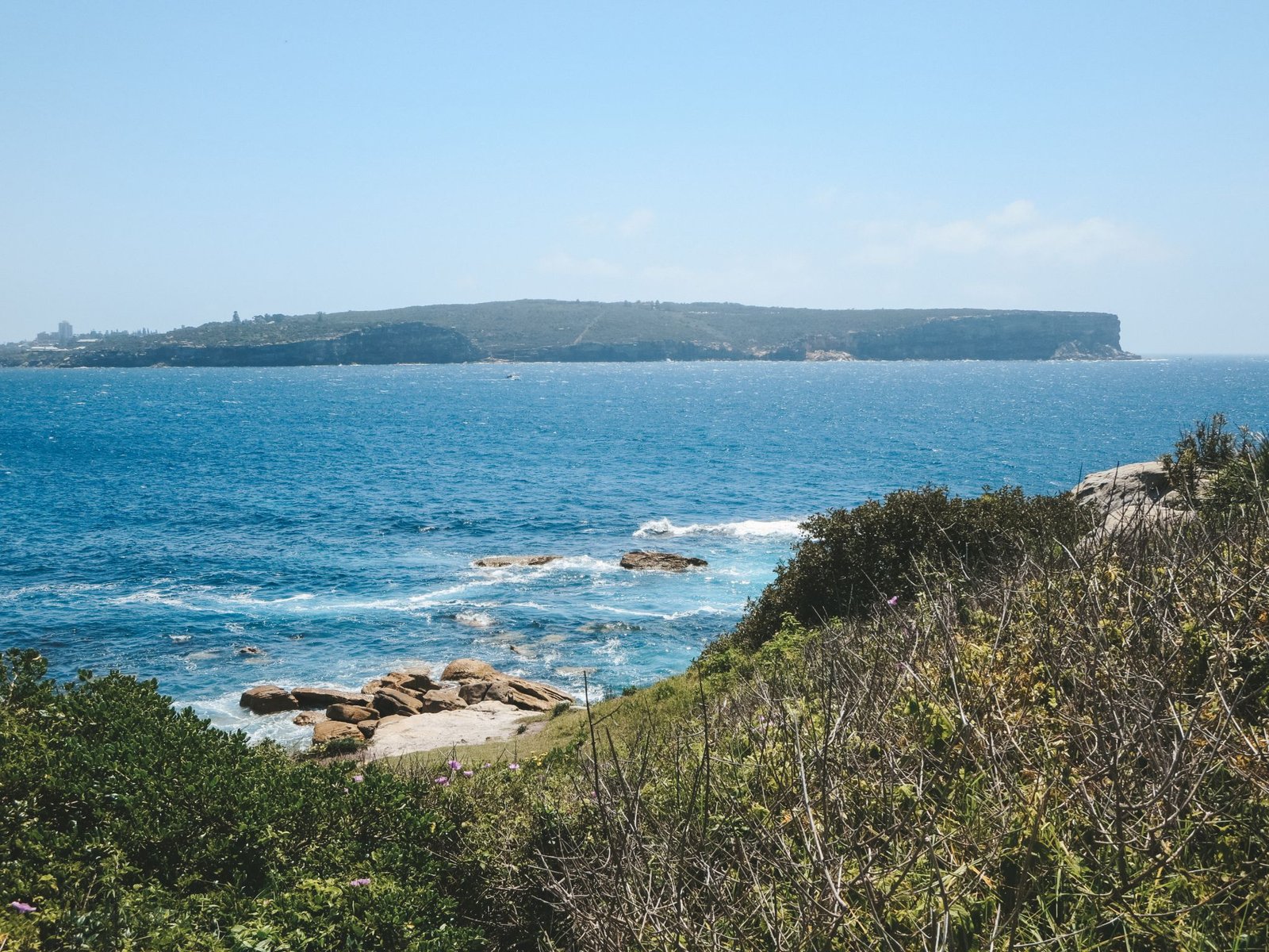 jana meerman rose bay watsons bay sydney (1)