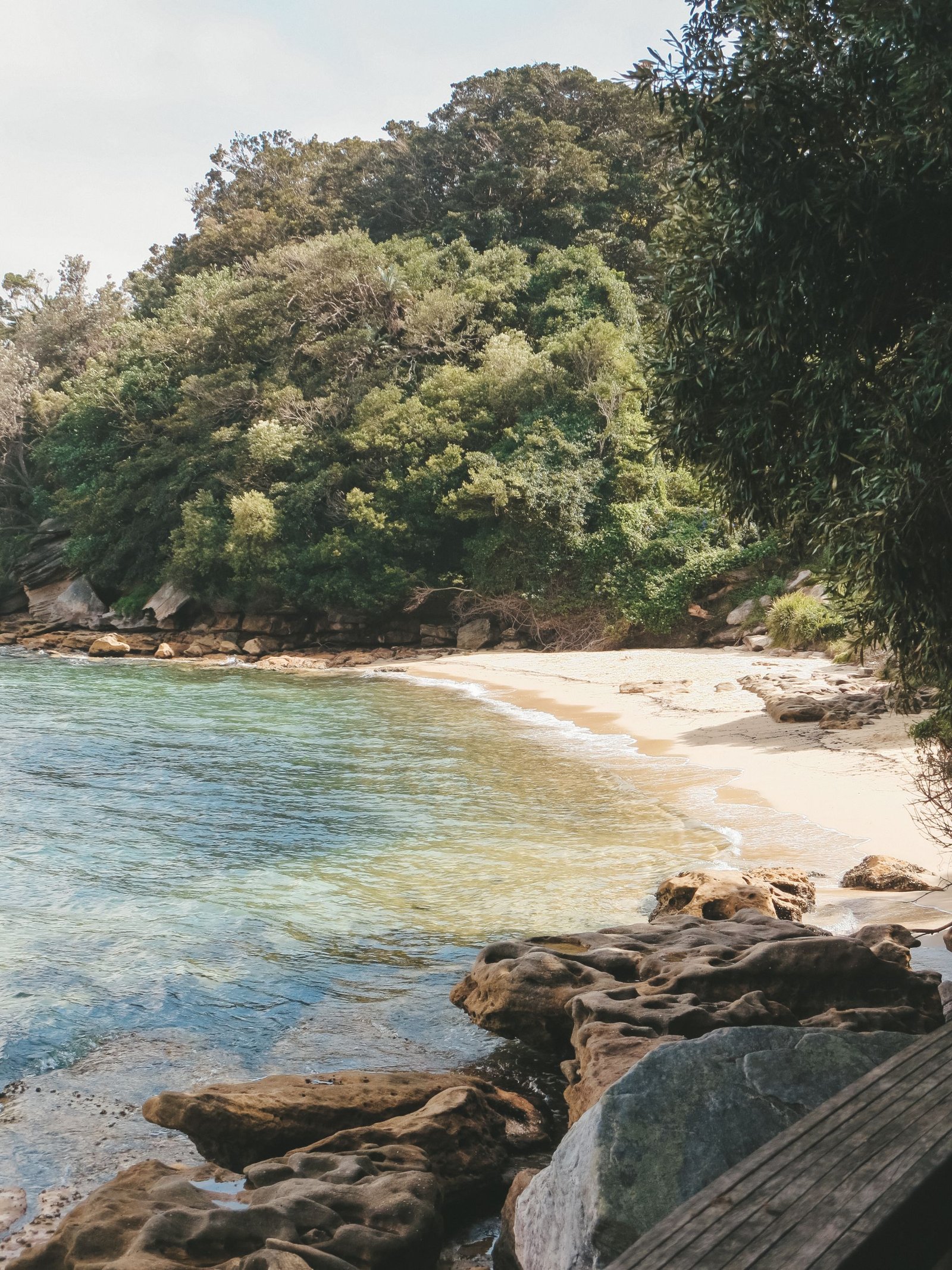 jana meerman rose bay watsons bay sydney (1)